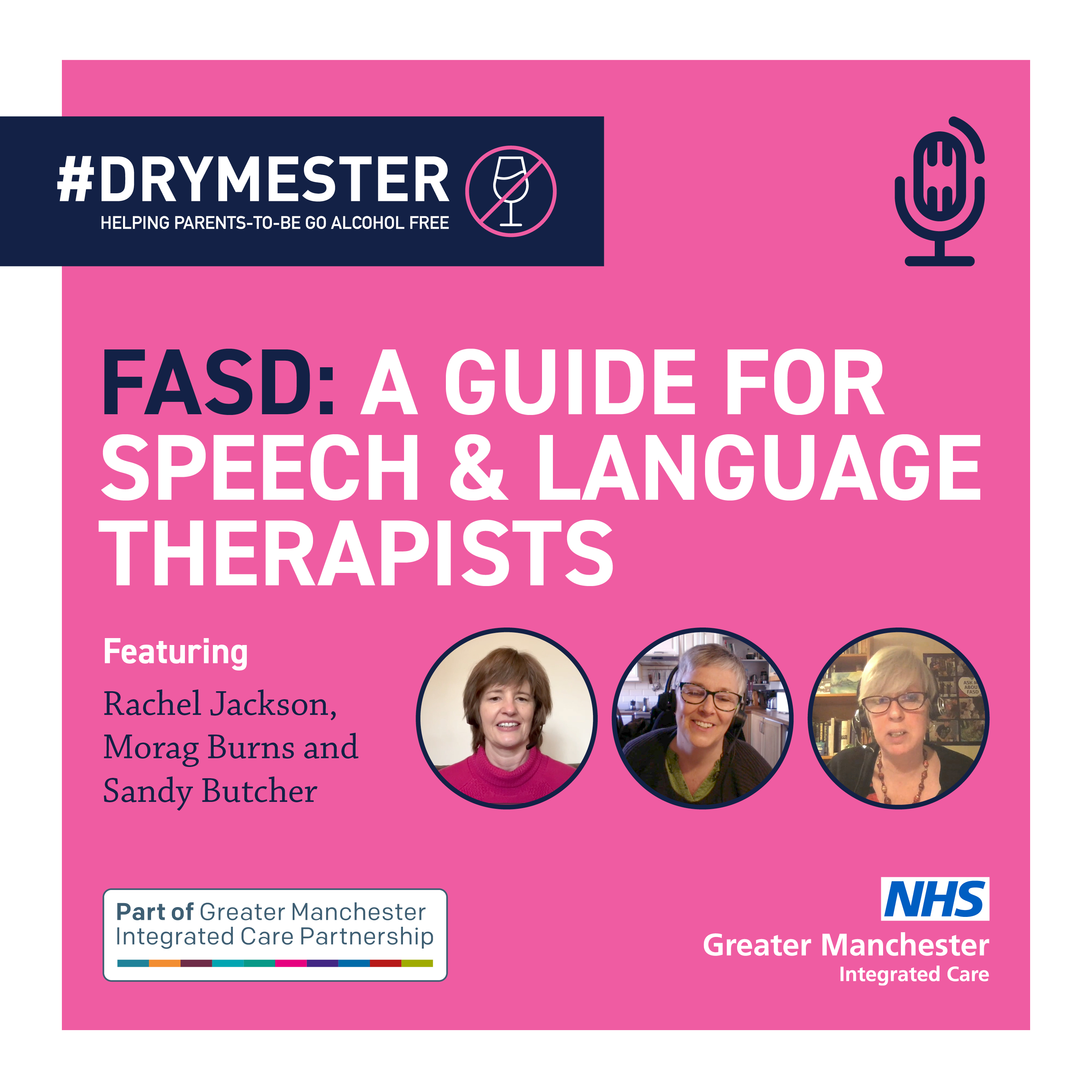 FASD: A Guide for Speech & Language Therapists