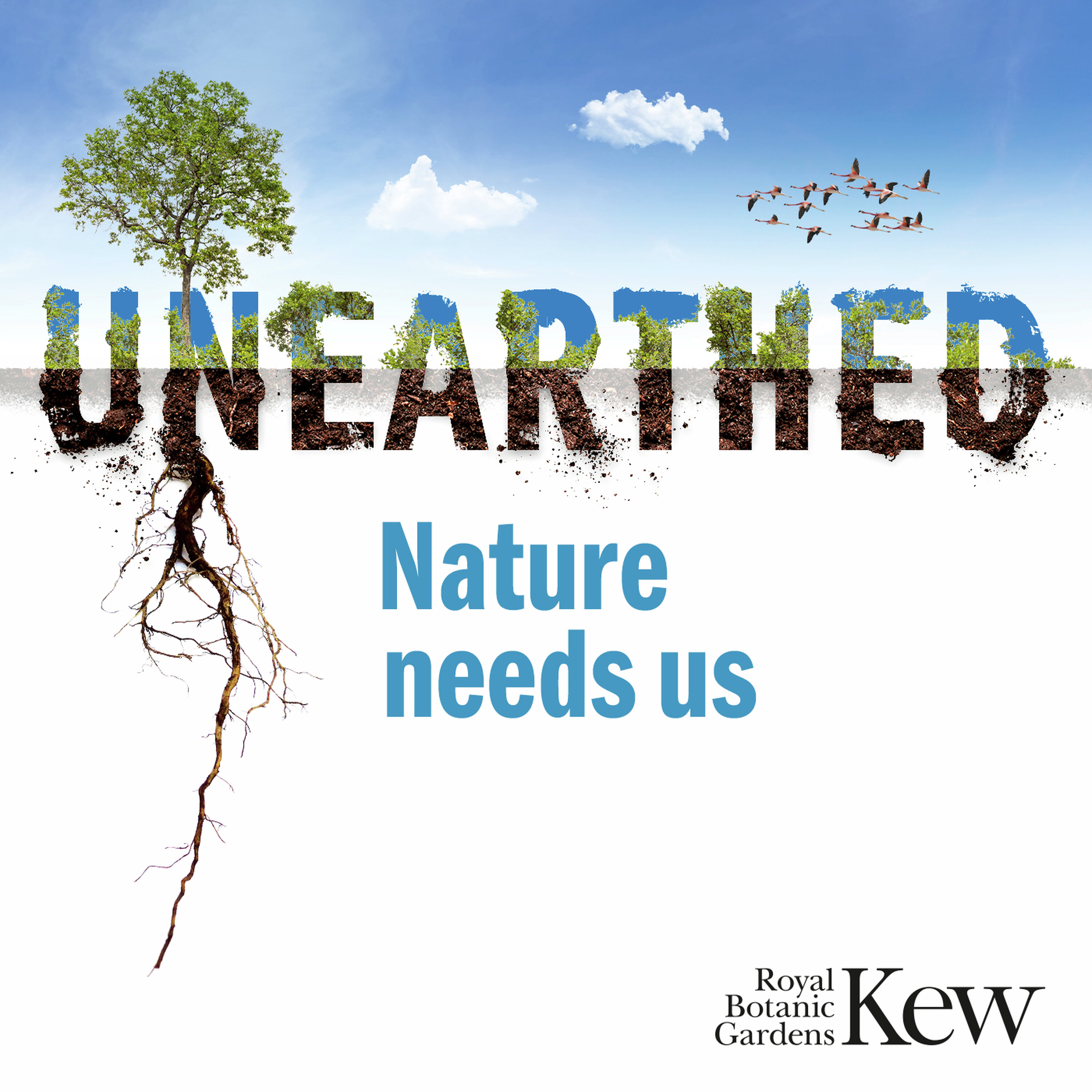 Why does soil matter? episode artwork