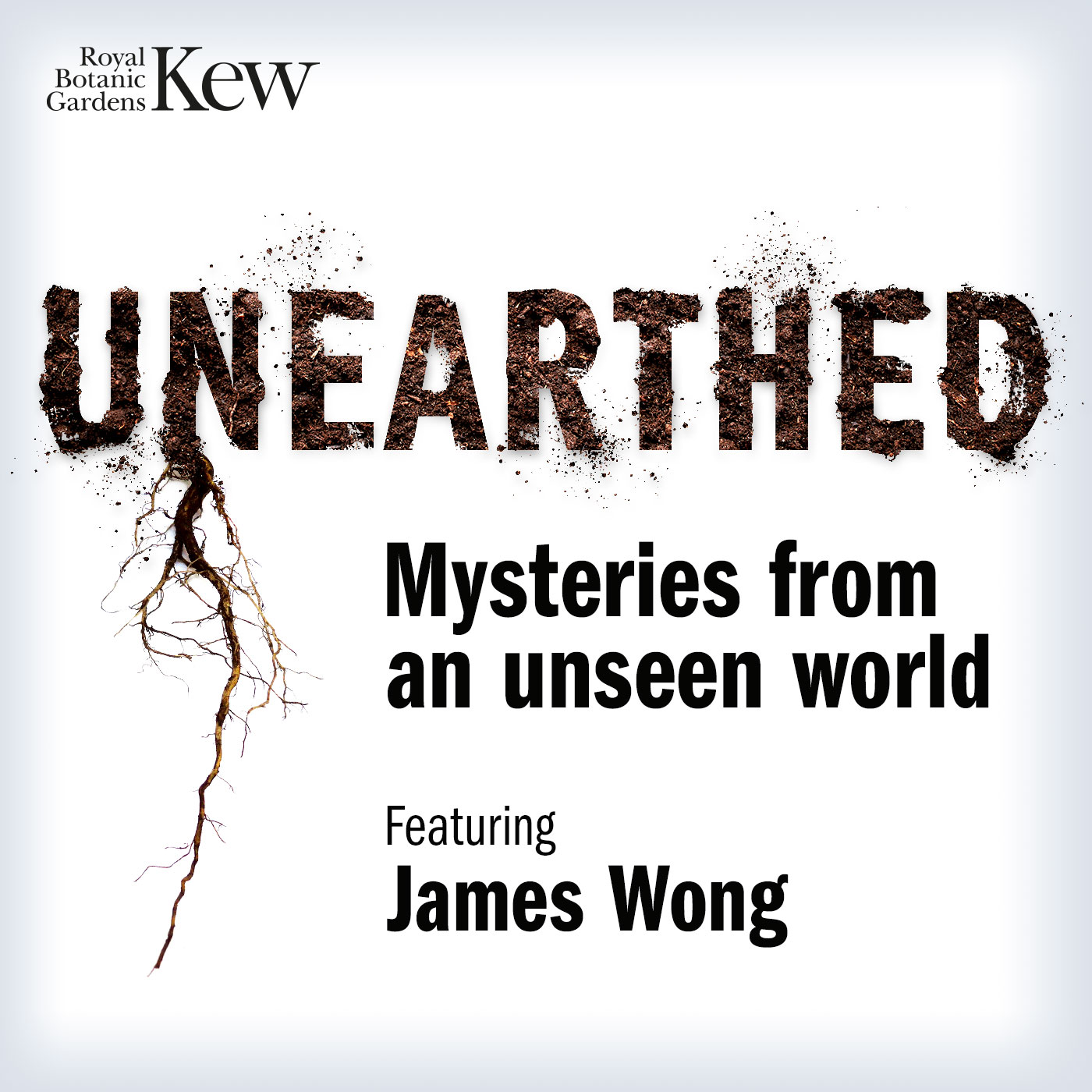 Zombies, tripping and the everyday normality of fantastic fungi