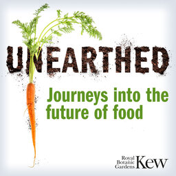 Unearthed: Journeys Into The Future Of Food, From The Royal Botanic Gardens, Kew: Coming on Thursday 6th October 2022