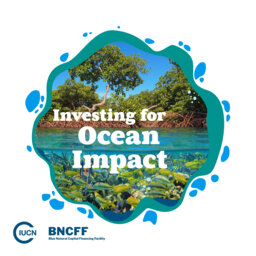 8. How banks and insurance companies can help Nature-based Solutions