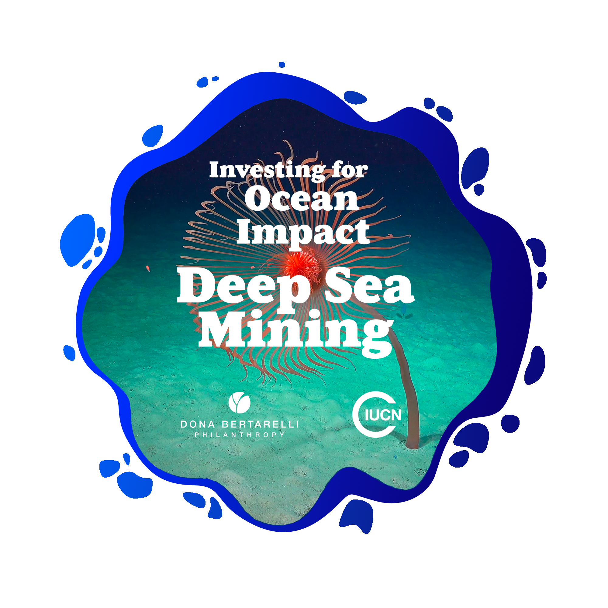Investing For Ocean Impact Trailer