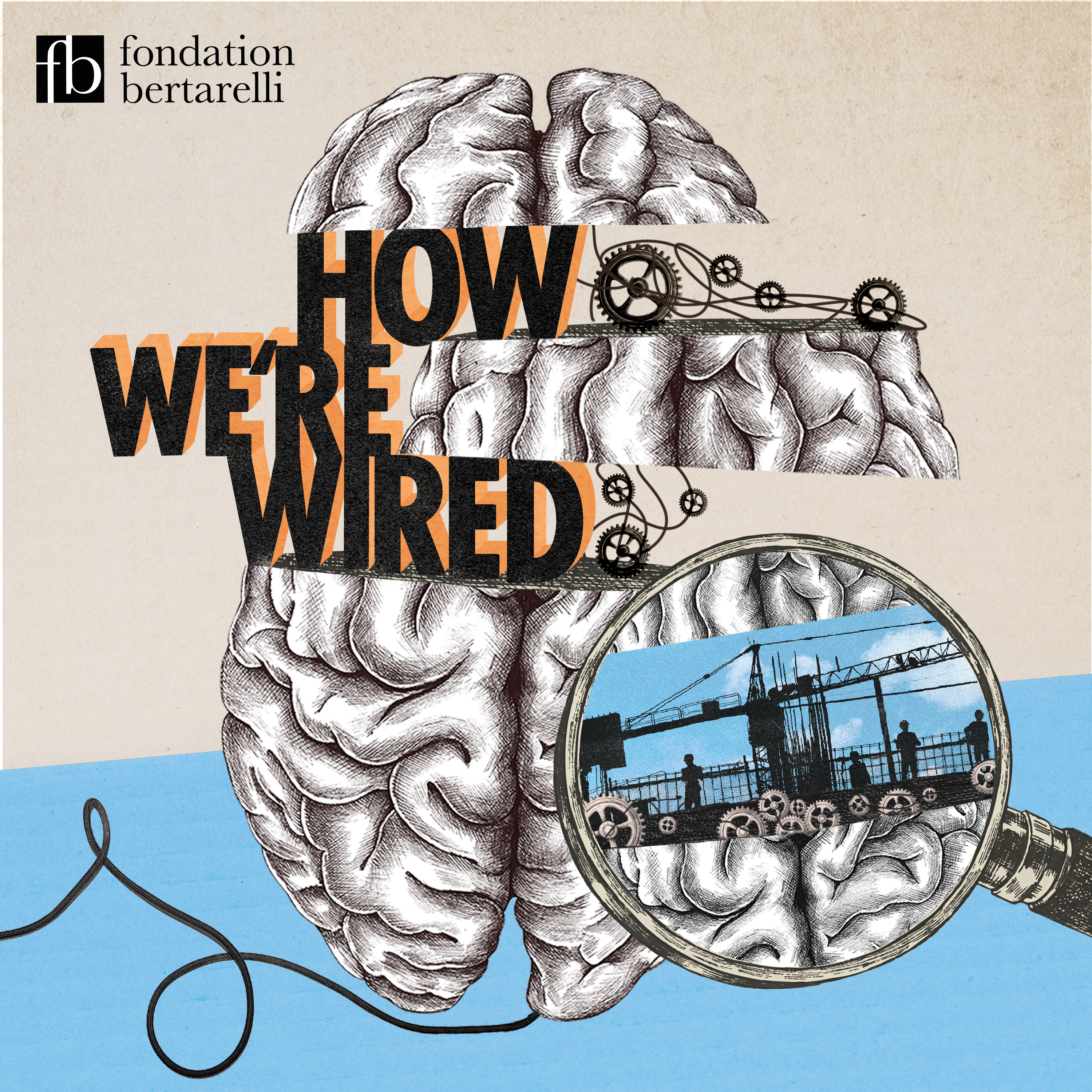 Building a Brain
