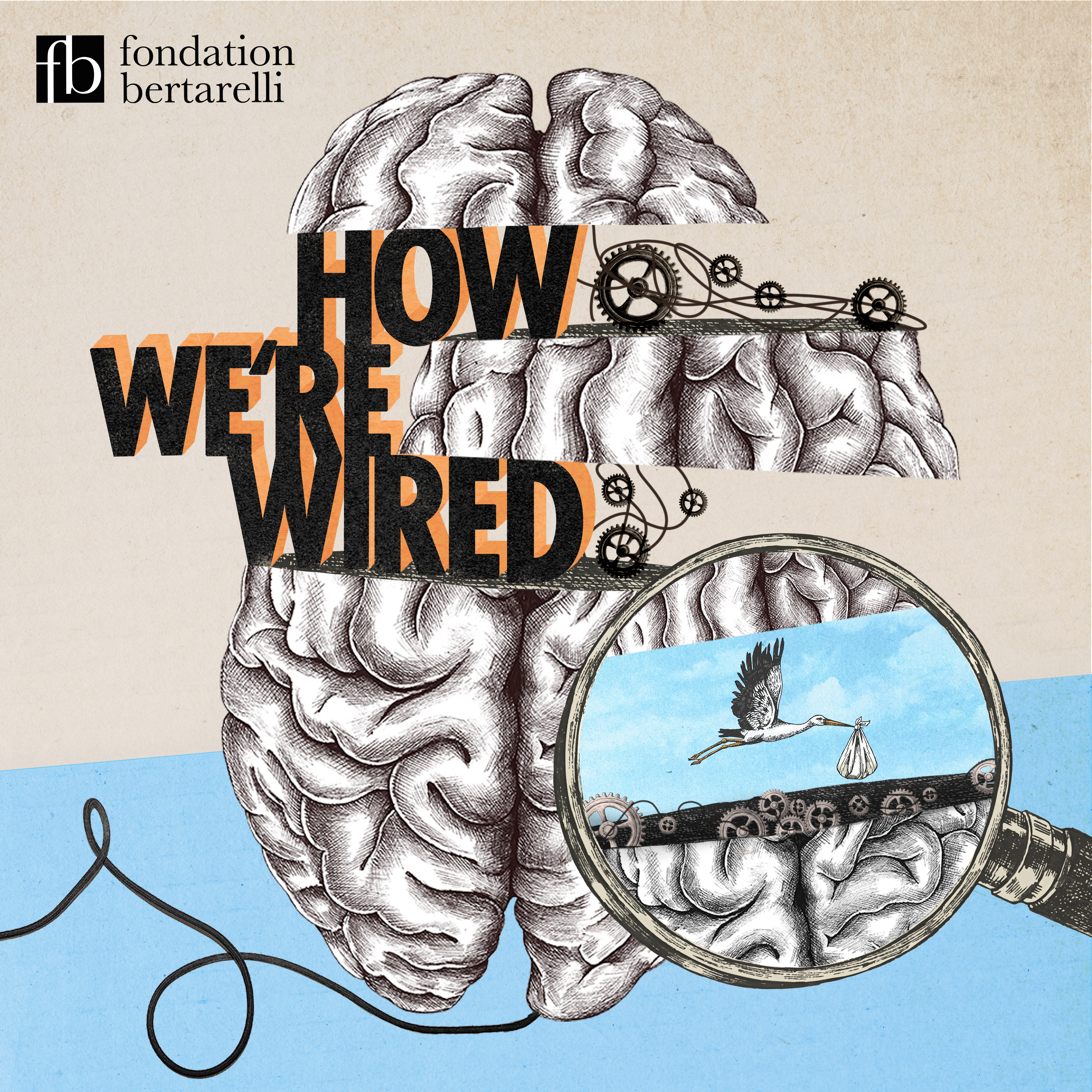 How We\'re Wired