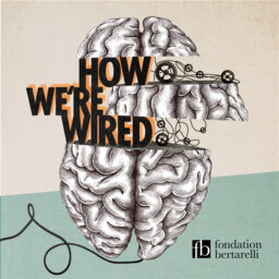 Finale - How Are We Wired?