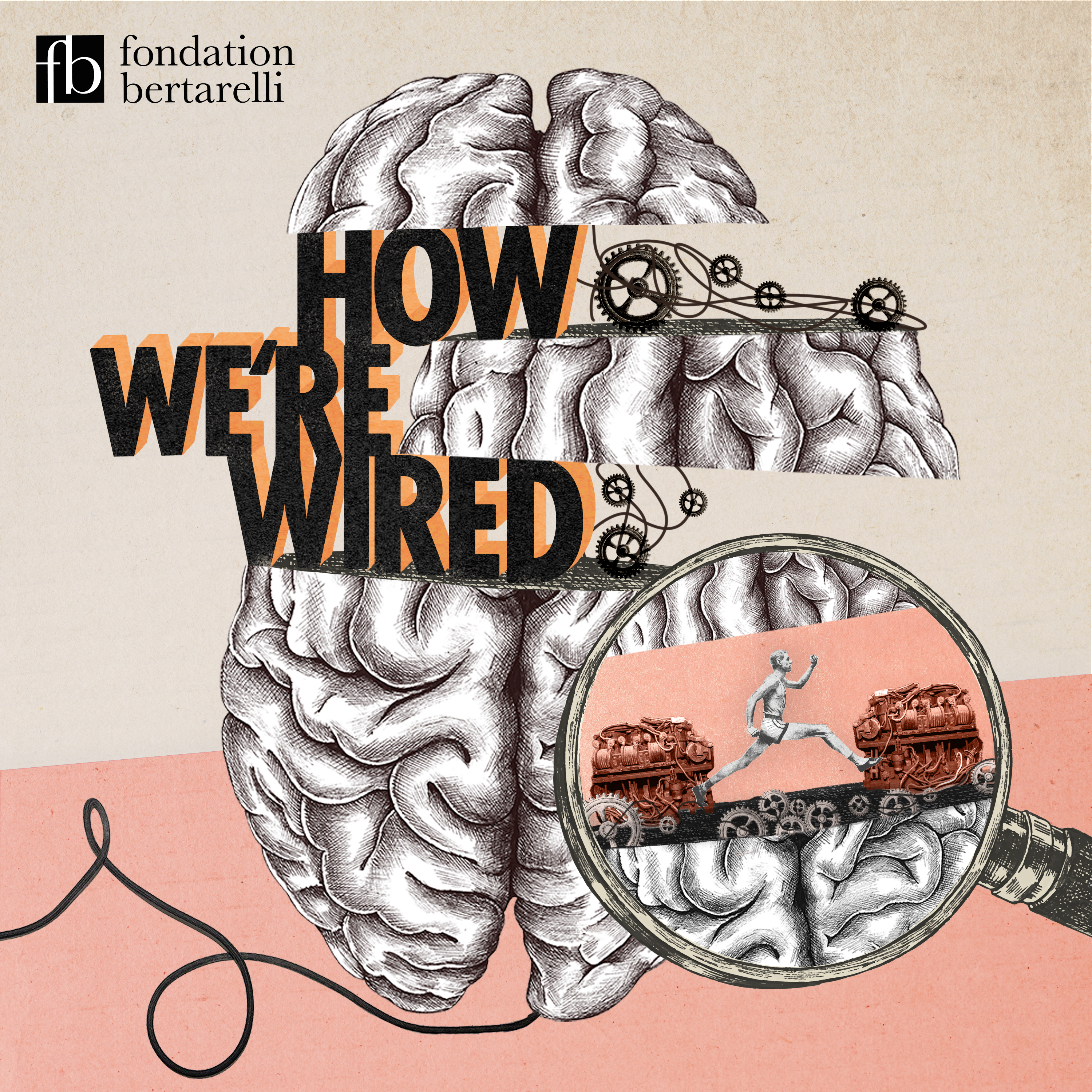 How We\'re Wired