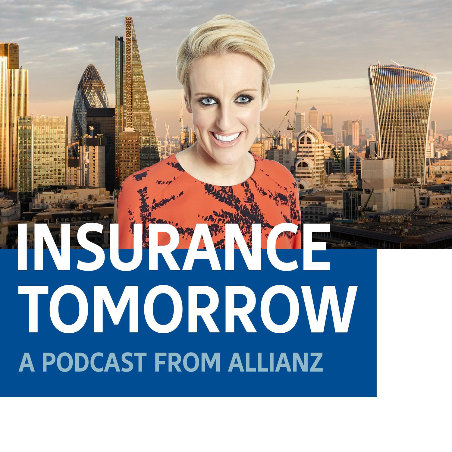 Underinsurance and the Insurance Industry