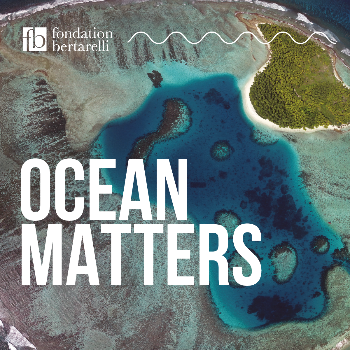 BONUS – Charles Darwin’s Island Discovery