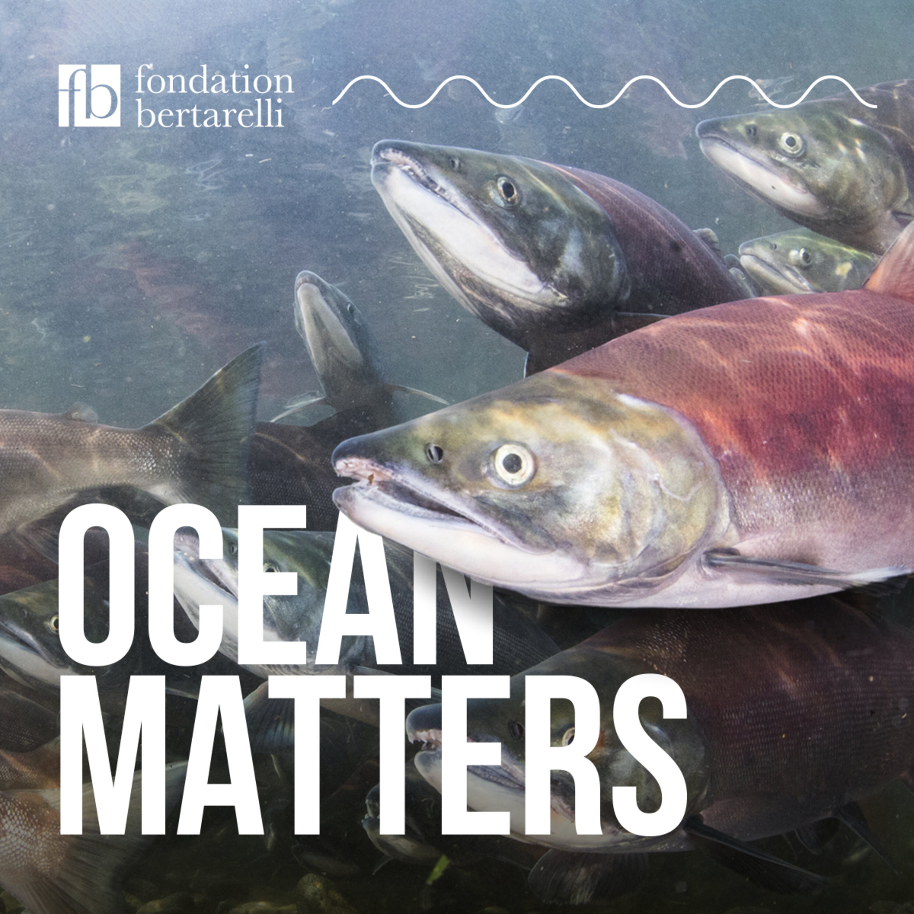 Learning from Indigenous Fisheries episode artwork