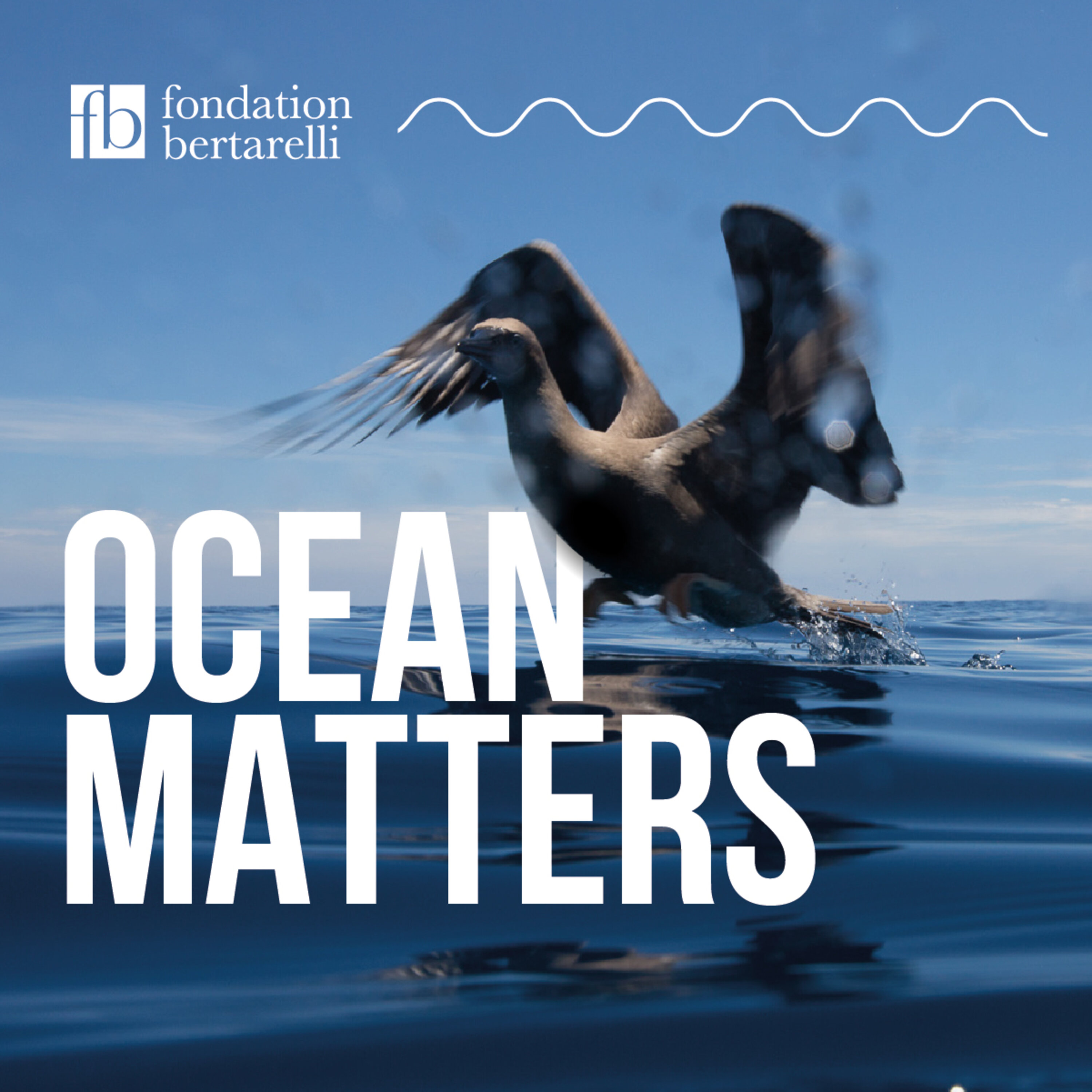 BONUS – Restoring Seabird Islands episode artwork