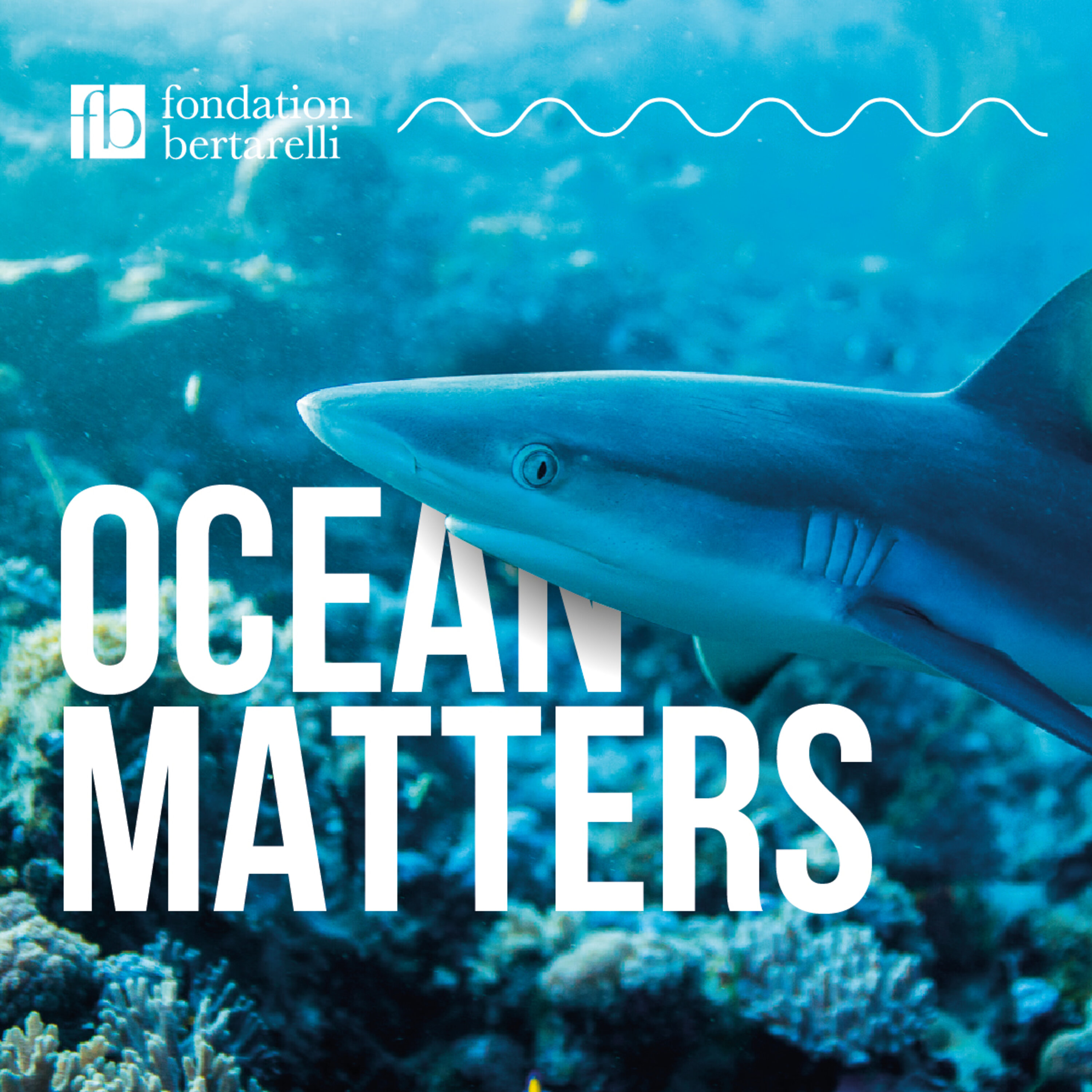 Sharks – Masters of the Ocean episode artwork