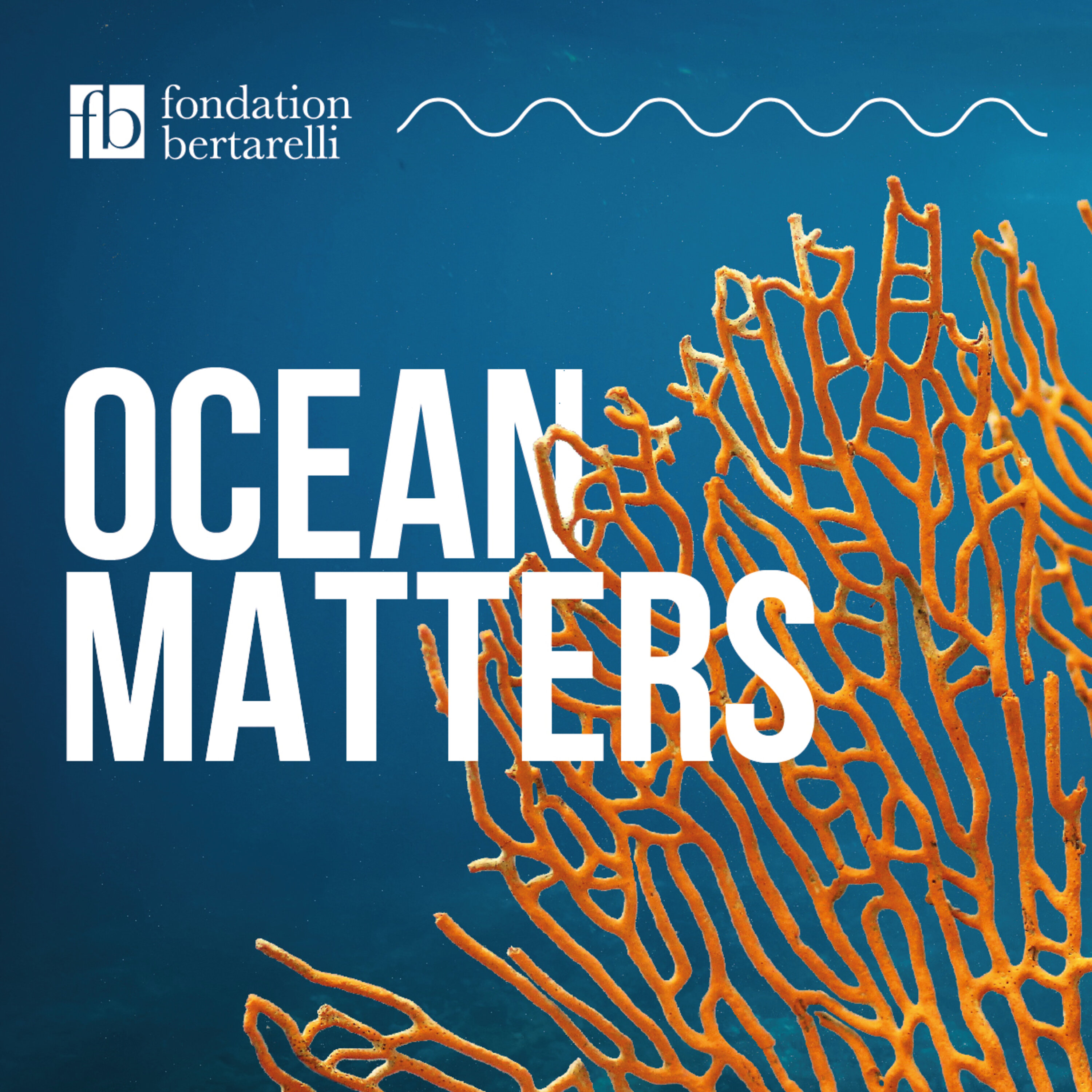 BONUS – London’s Hidden Coral Reef episode artwork
