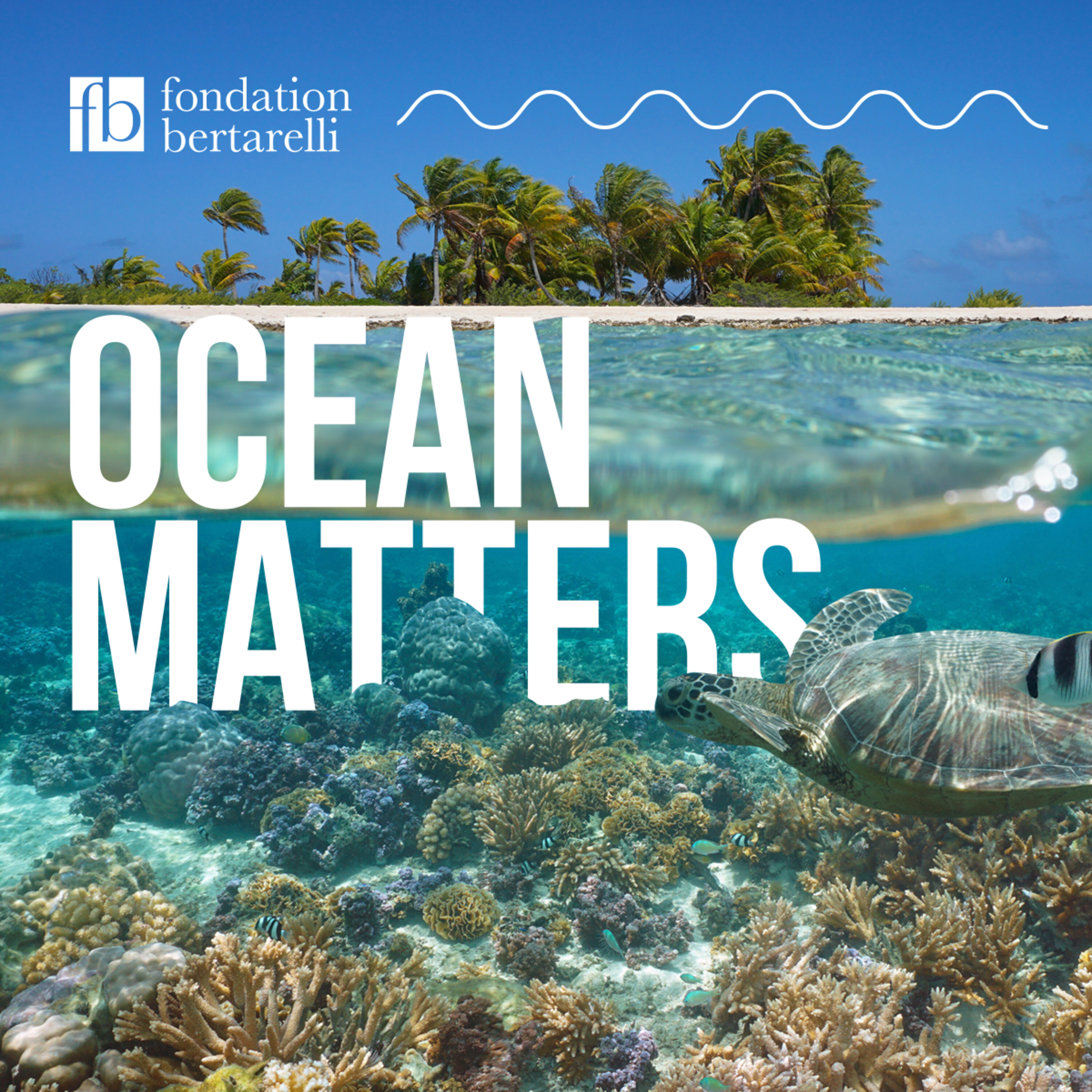 Ecosystems – Land, Marine, and The “In Between” episode artwork