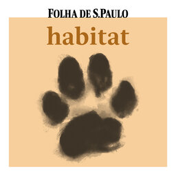 Conheça o podcast Habitat