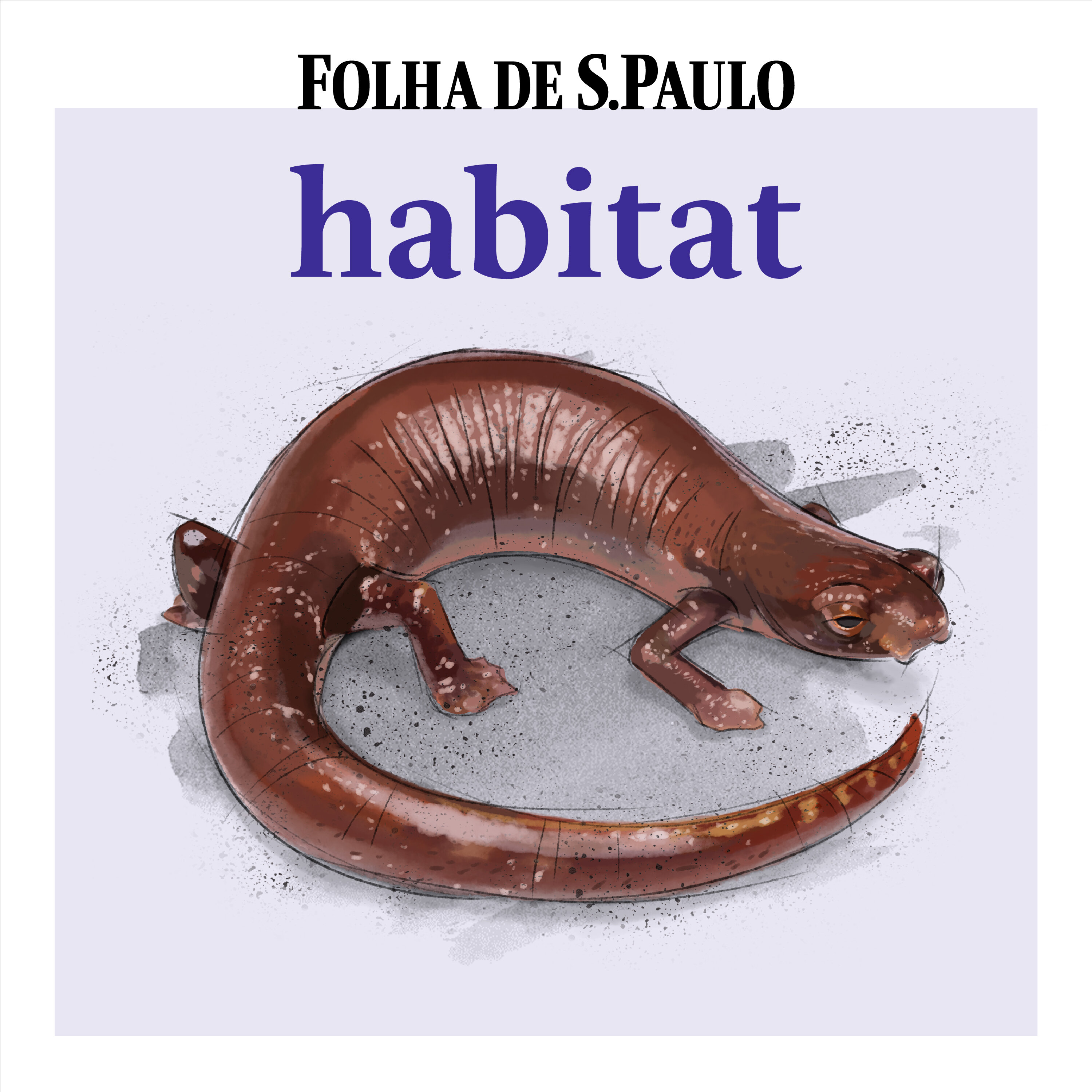 Episódio 2: O breu da floresta