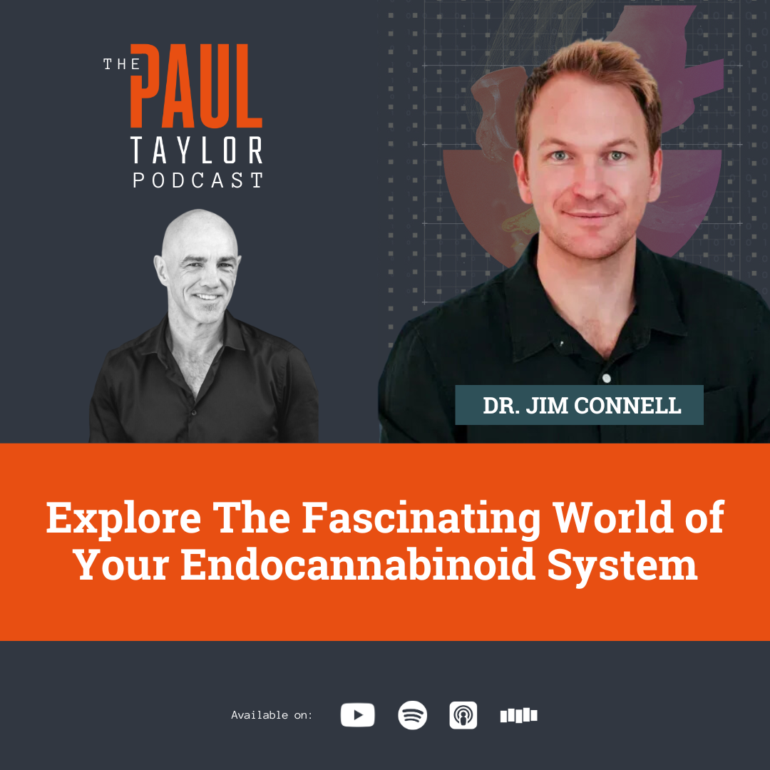 The Paul Taylor Podcast