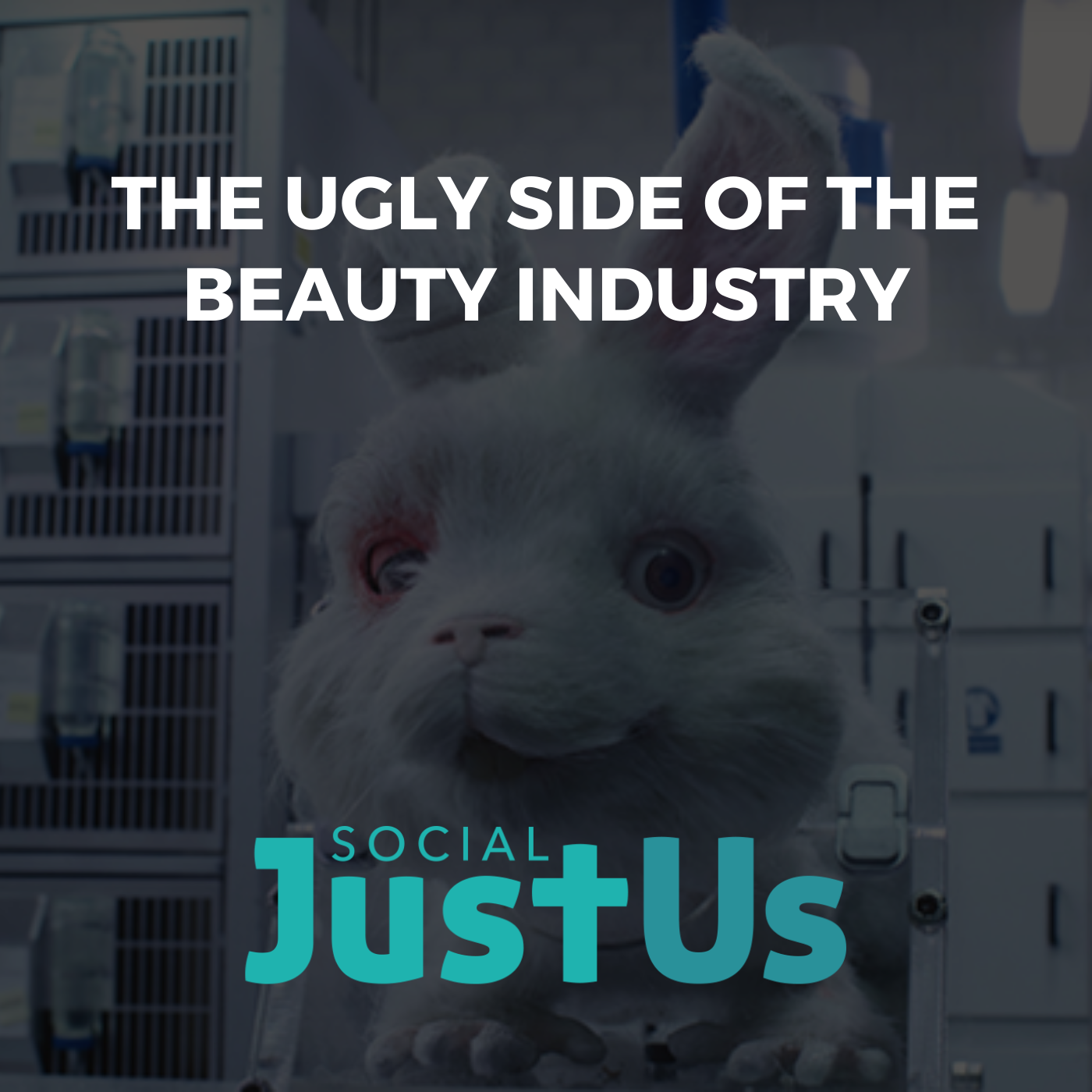 S3E6: The Ugly Side of the Beauty Industry