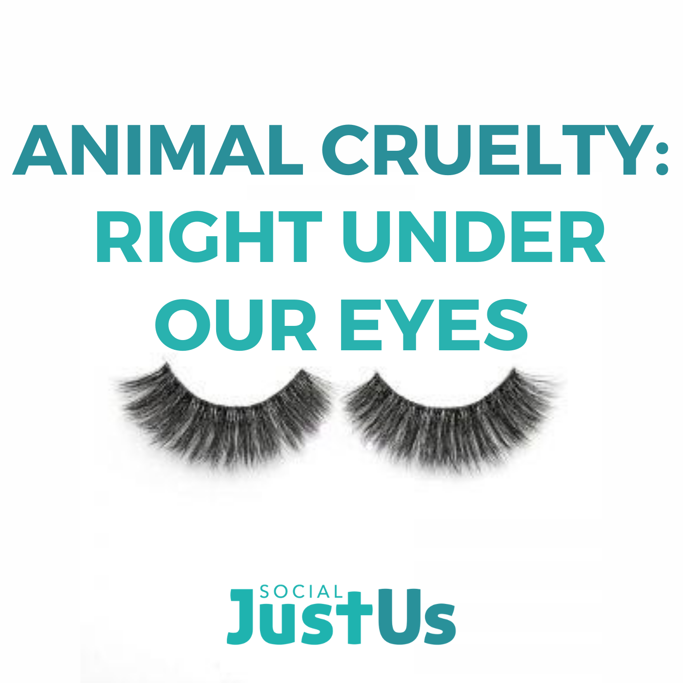 S2E10: Animal Cruelty right under our eyes episode artwork