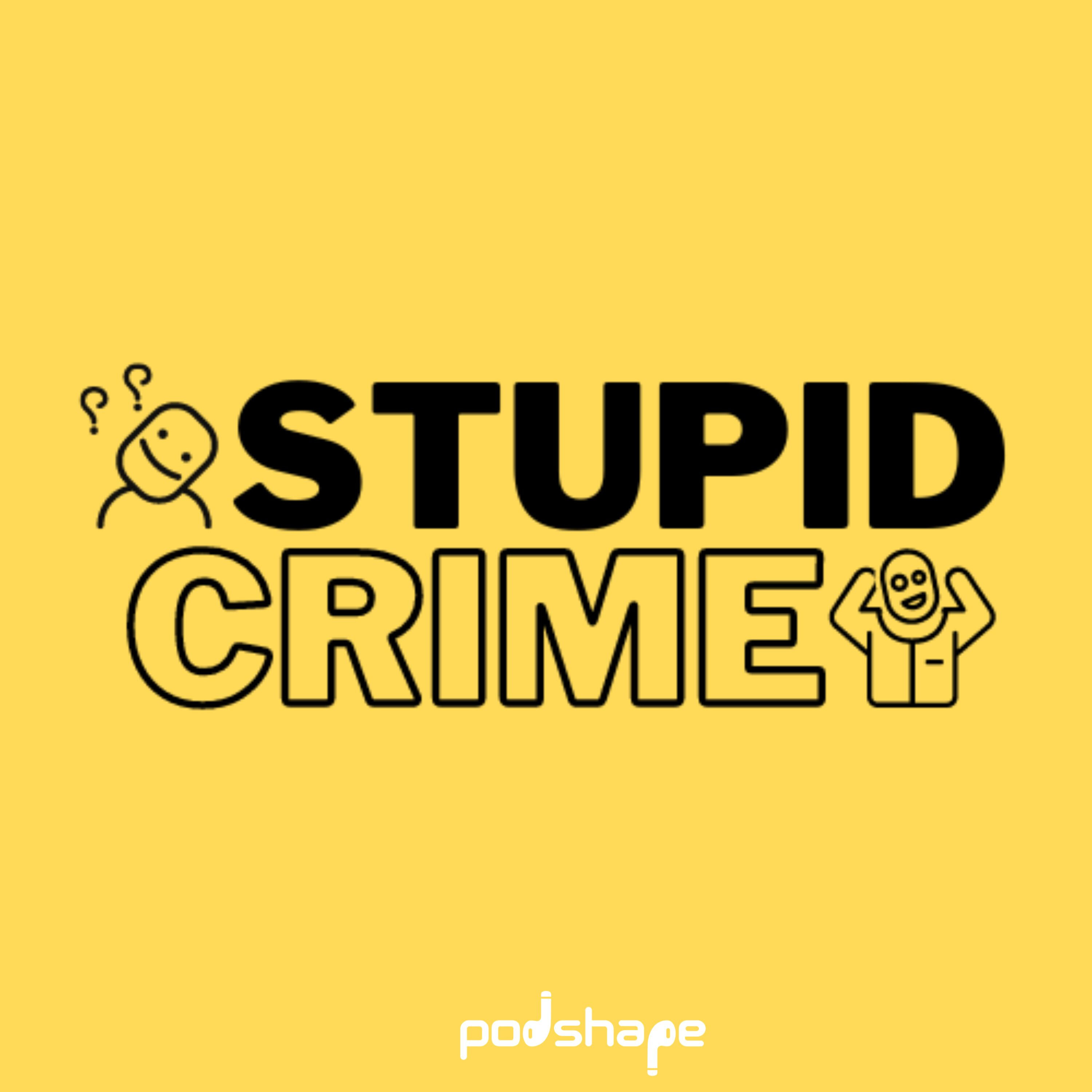 Introducing Stupid Crime - A New Short Podcast episode artwork