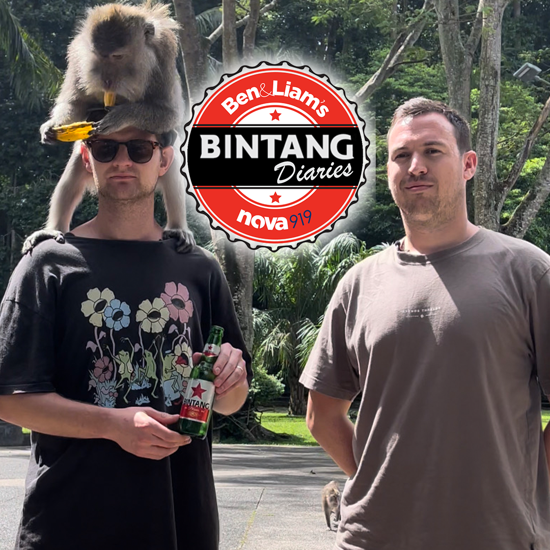 The Bintang Diaries #5 - Who Is The Team Member Of The Week?