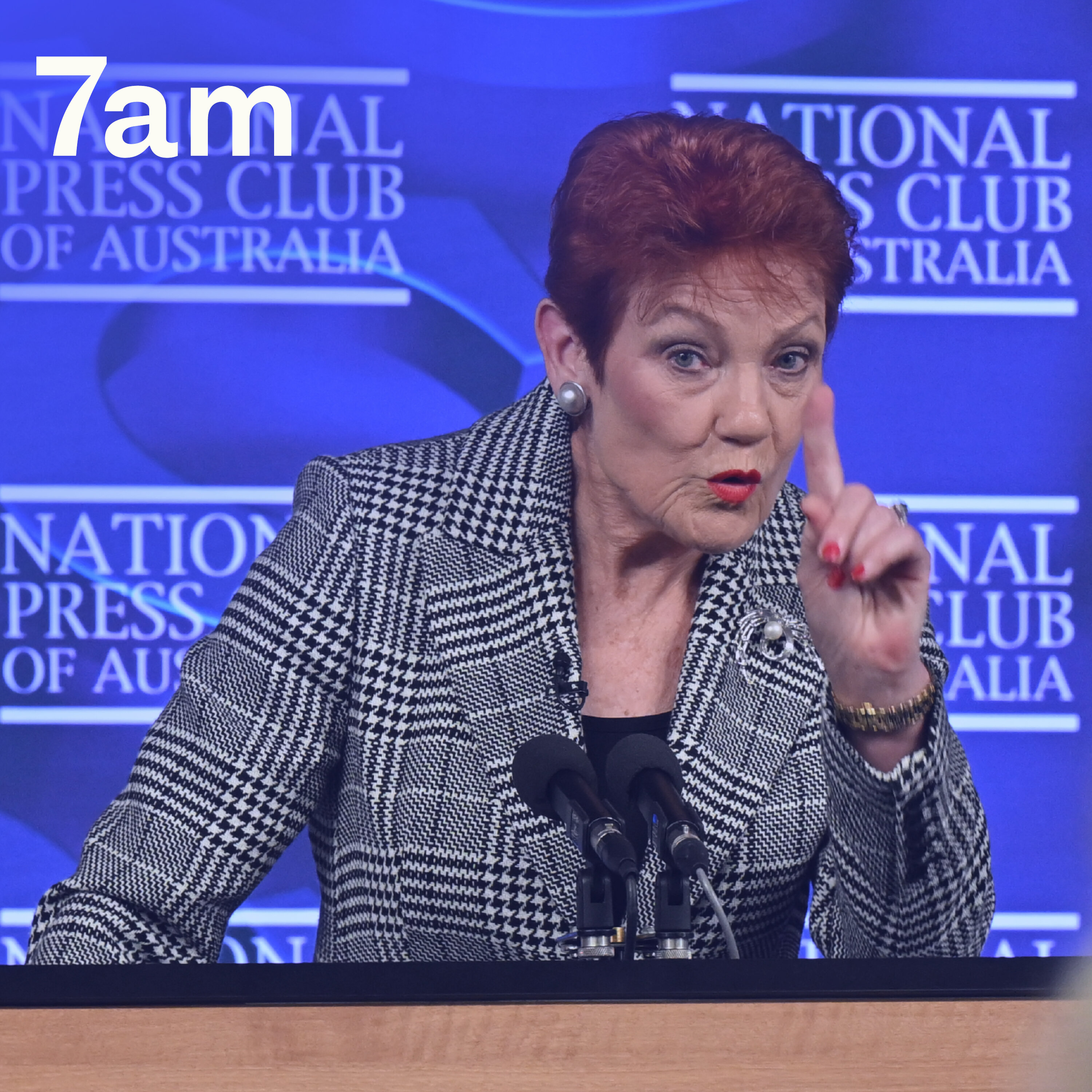 Protests, clashes and grievance politics: Pauline at the Press Club episode artwork