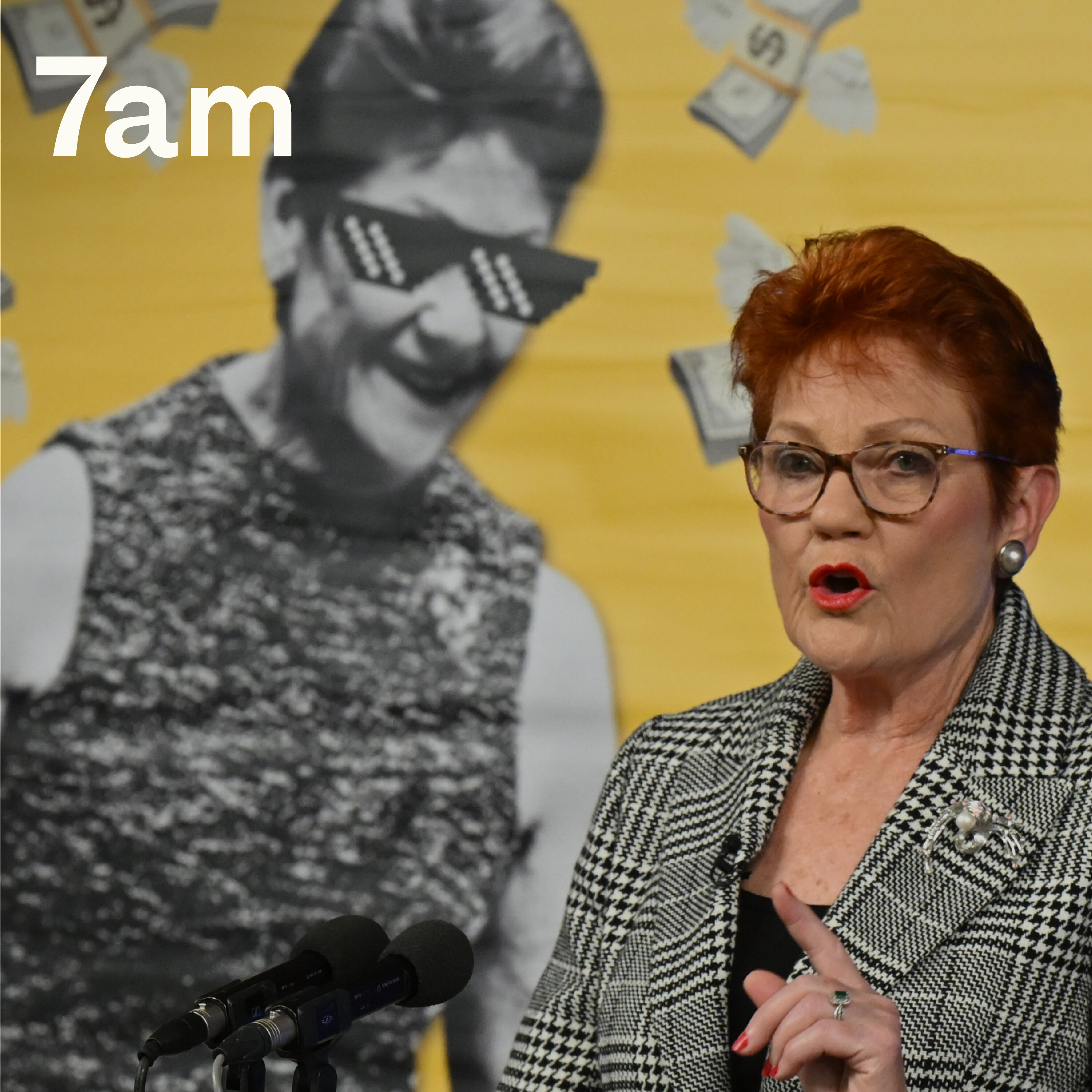 Pauline Hanson and the end of political consequence episode artwork