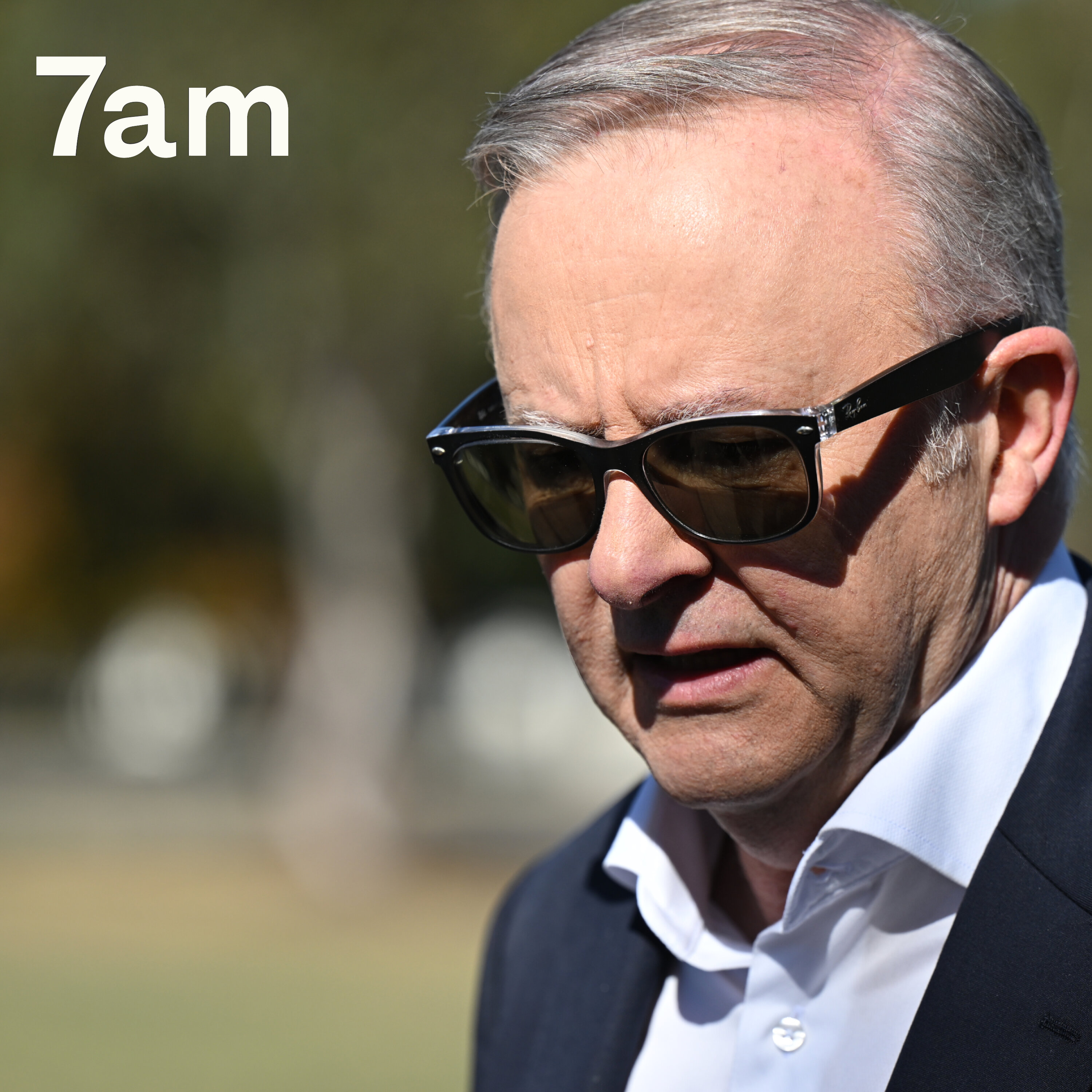 What did Albanese achieve this year? What did Albanese achieve this year?