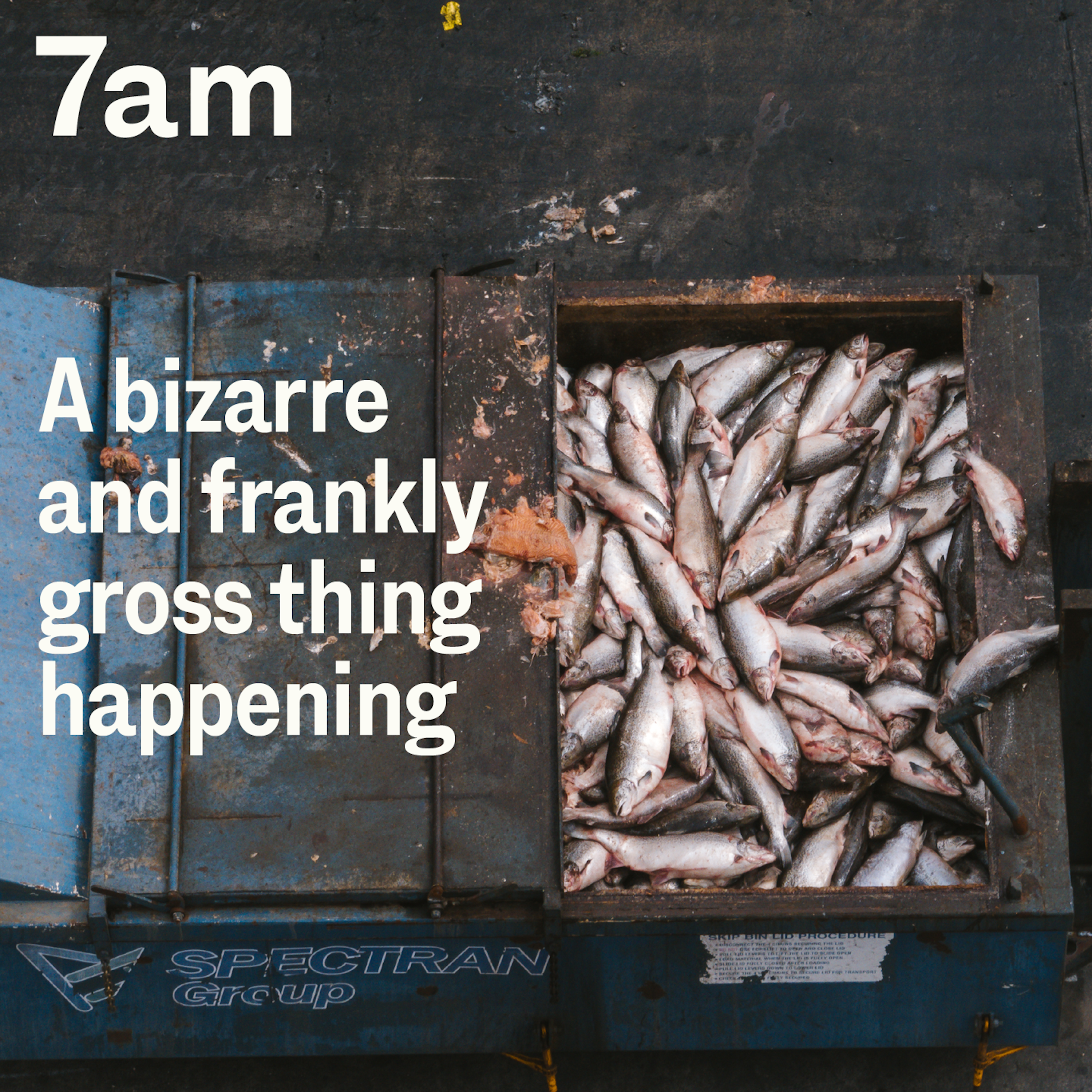 A bizarre and frankly gross thing happening