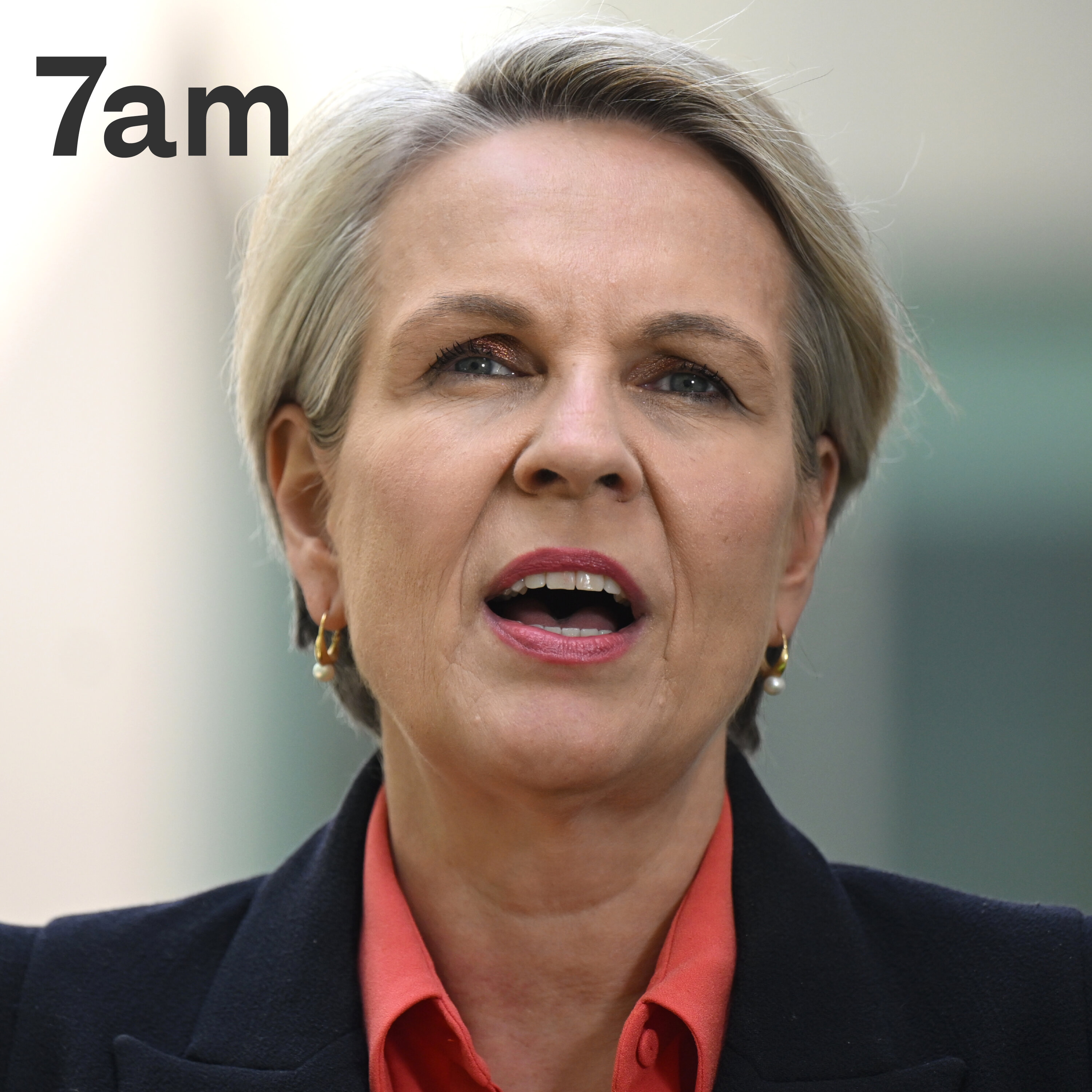 Tanya Plibersek on the PM’s viral DV comments and calls for a royal commission