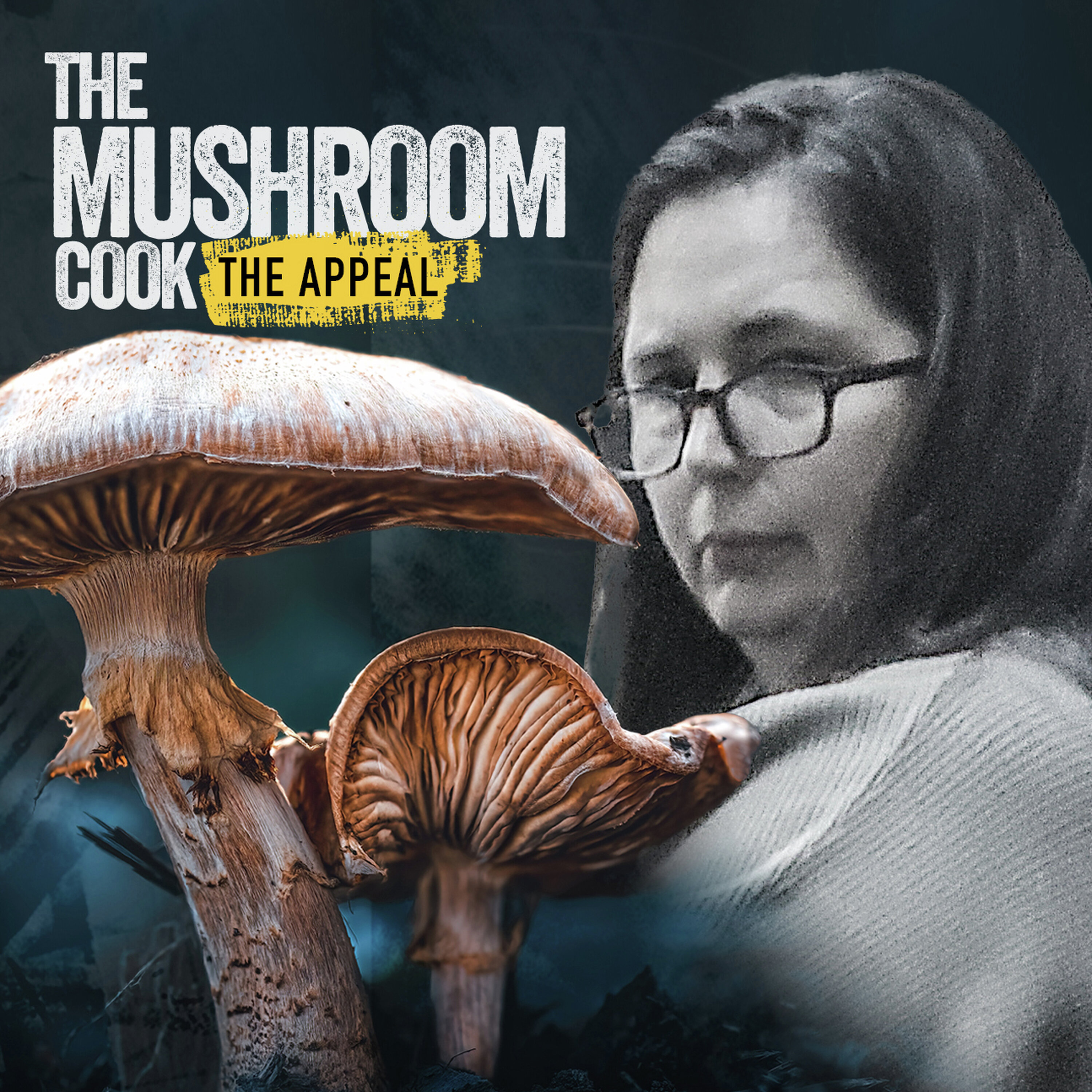 The Mushroom Cook - The Appeal | The seven grounds