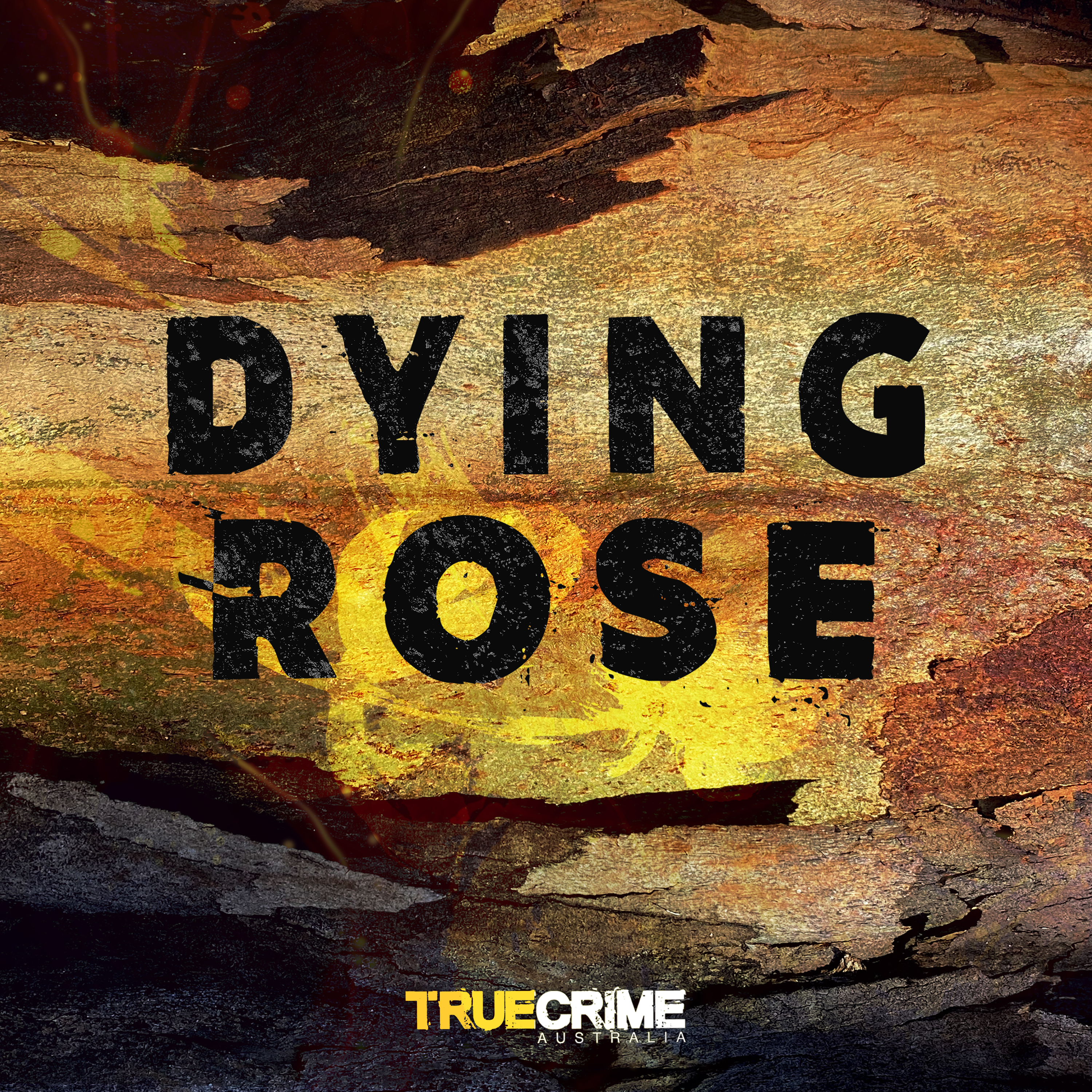 Episode Logo