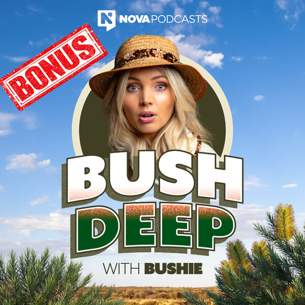 BONUS - Bushie's Winners And Losers On The Internet!