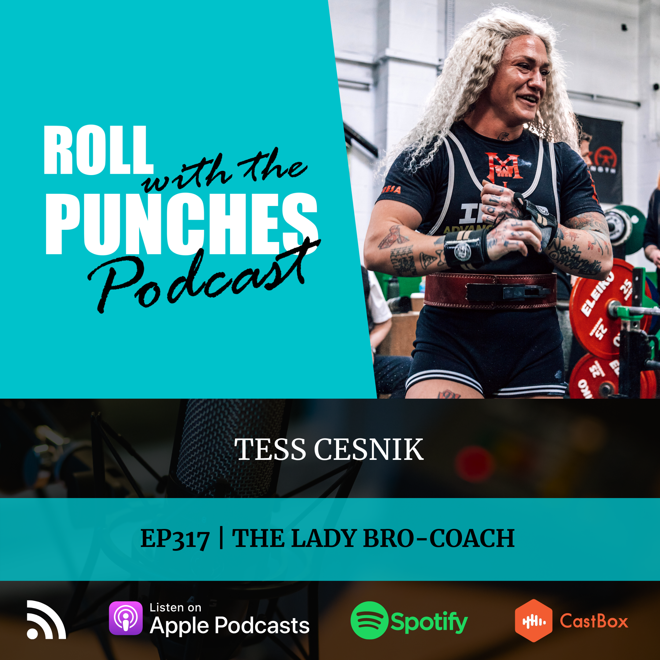 The Lady Bro-Coach | Tess Cesnik - 317 episode artwork