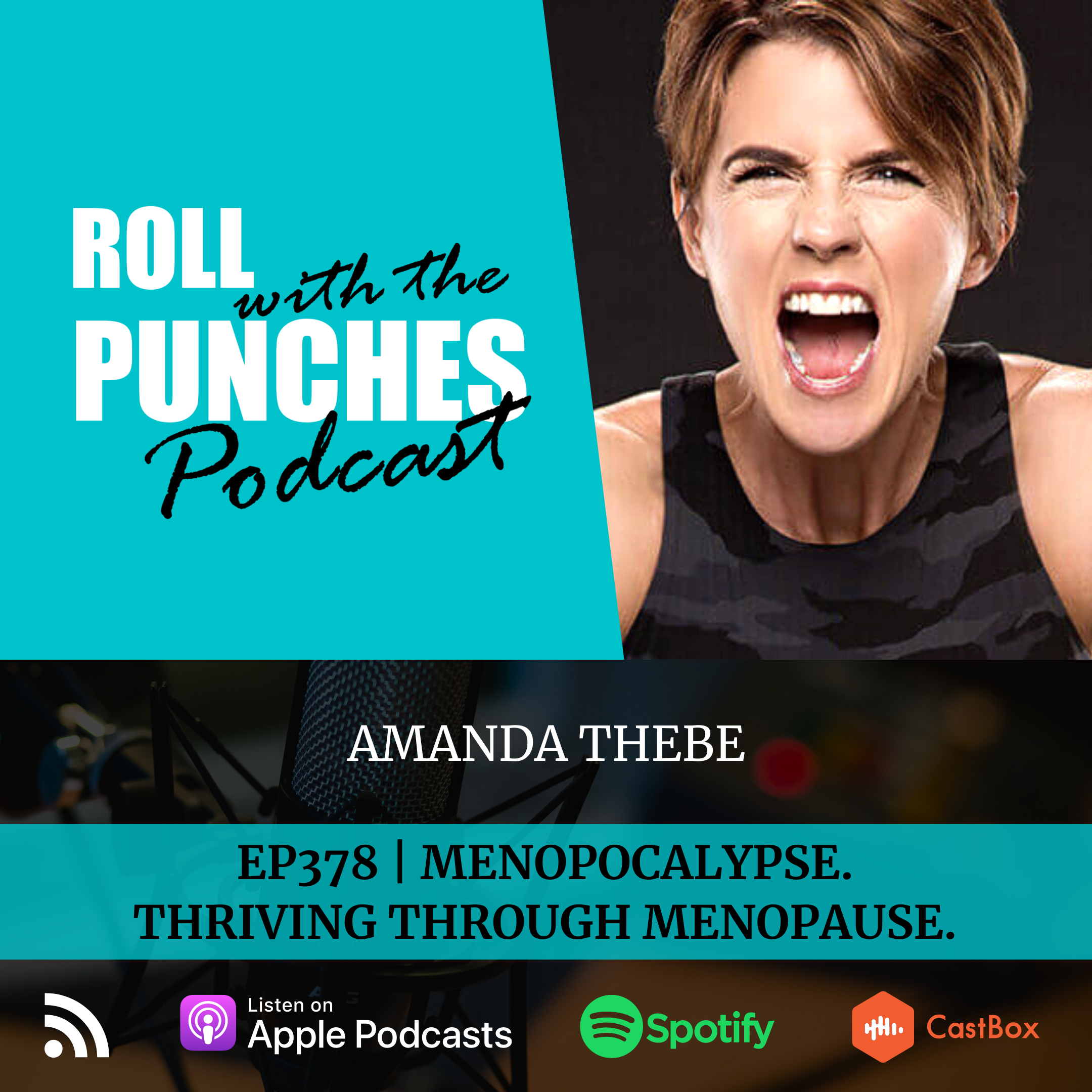 Roll With The Punches