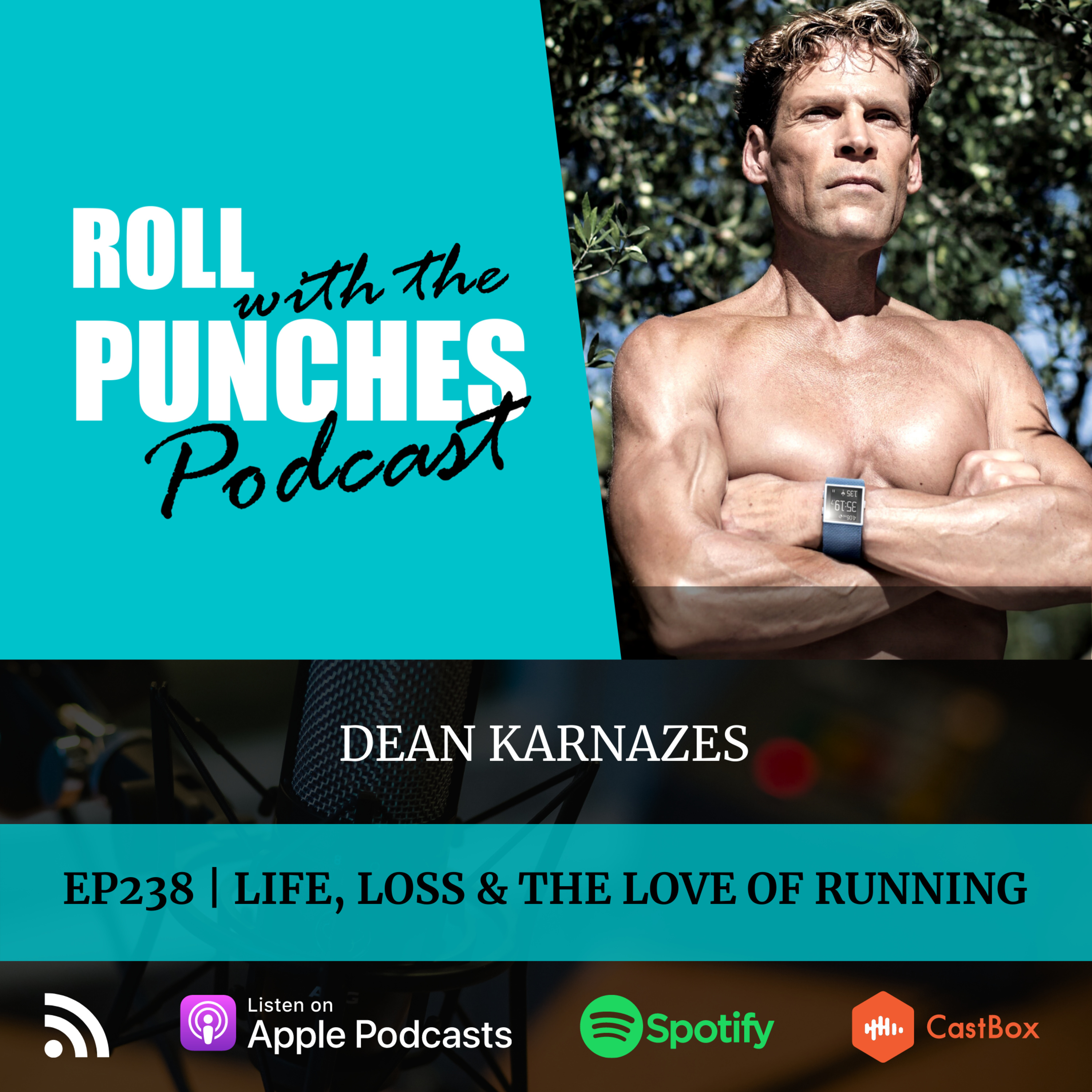 Roll With The Punches