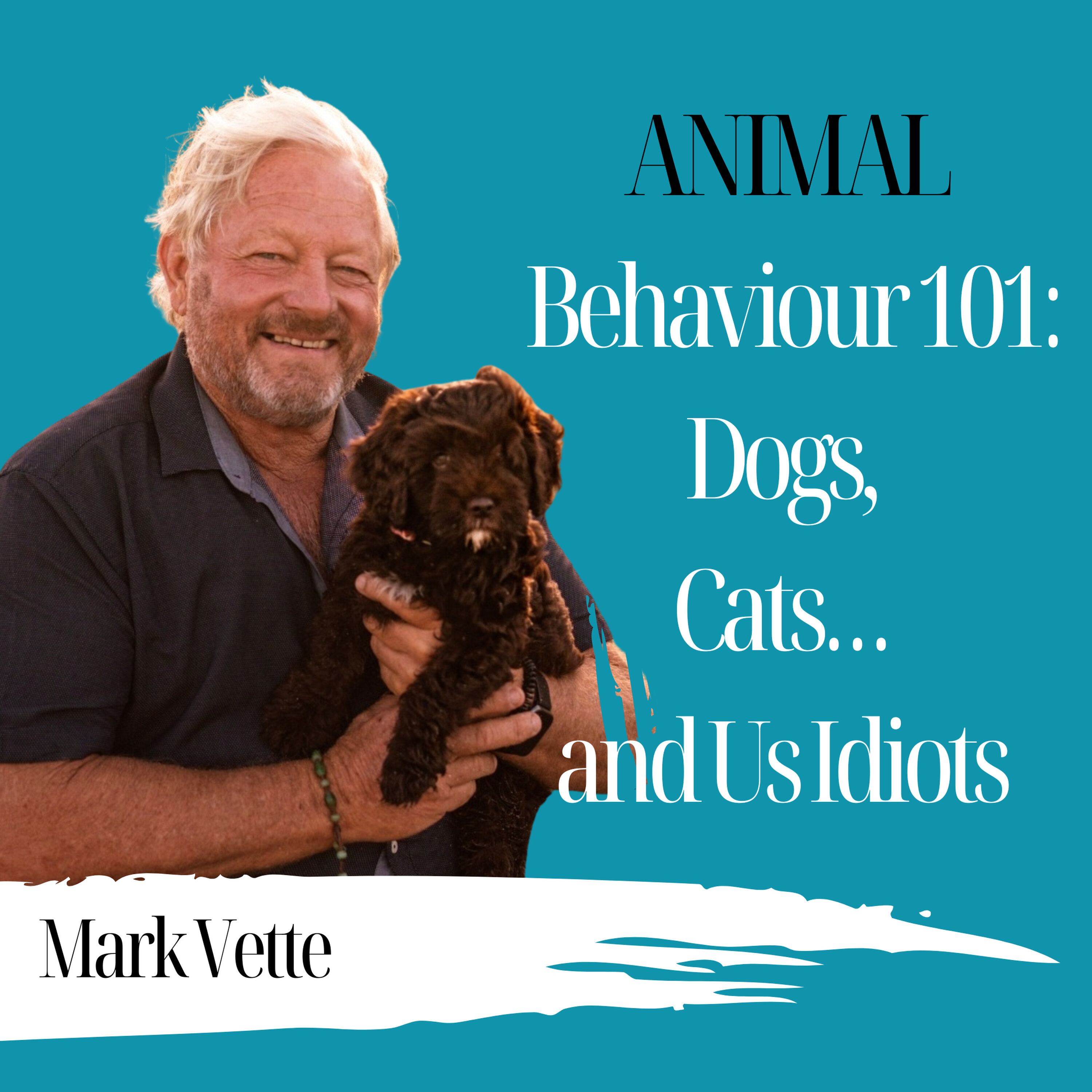 Animal Behaviour 101: Dogs, Cats… and Us Idiots | Mark Vette - 989 Animal Behaviour 101: Dogs, Cats… and Us Idiots | Mark Vette - 989