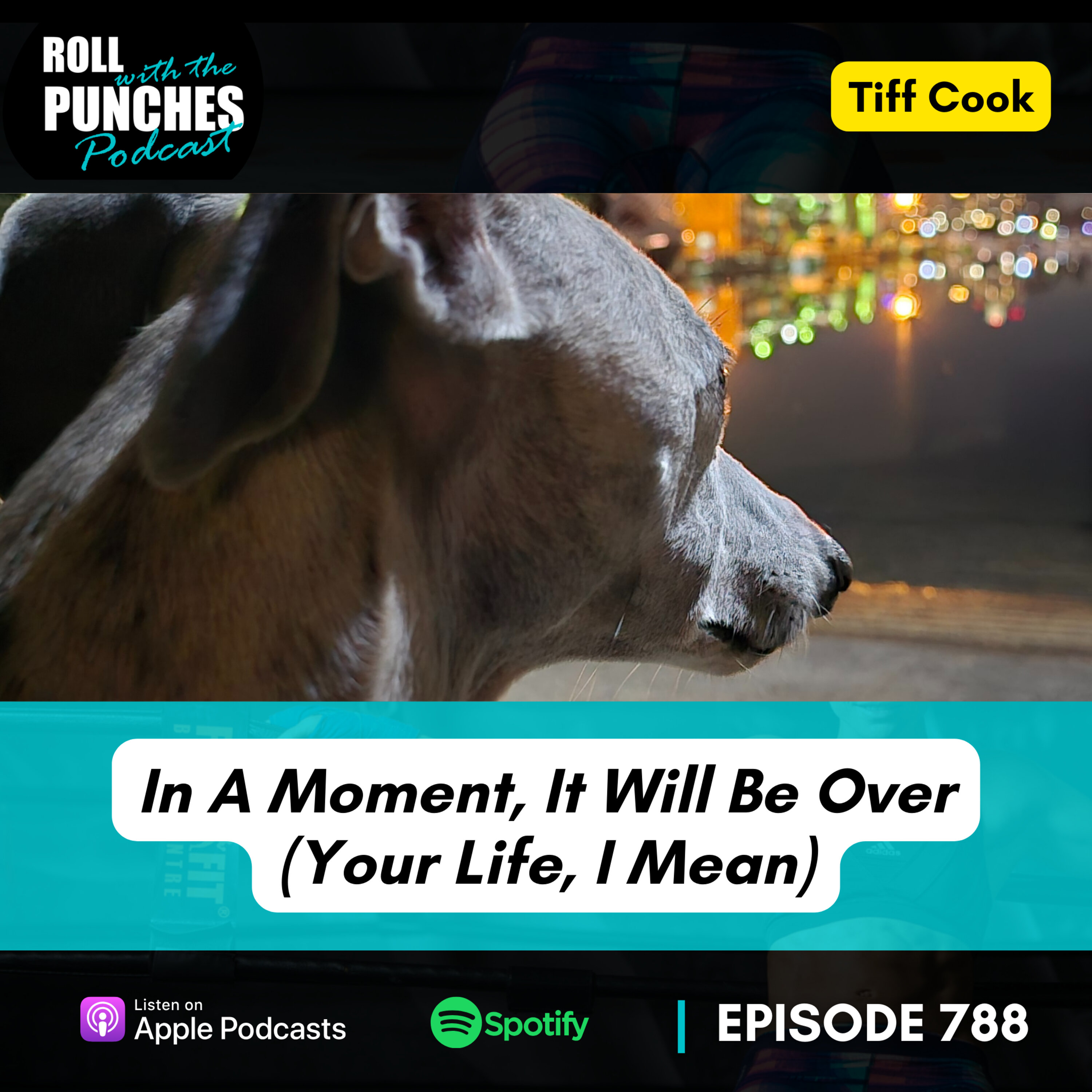 In A Moment, It Will Be Over (Your Life, I Mean) | Tiff Cook - 788 Episode cover