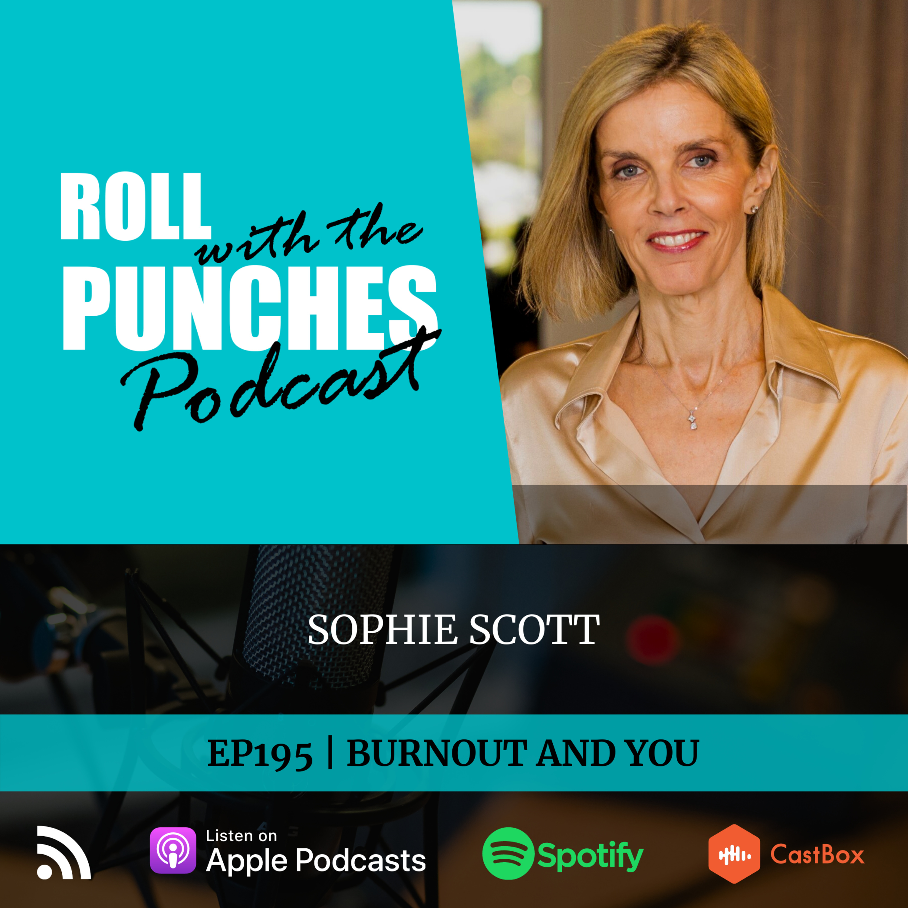 Roll With The Punches