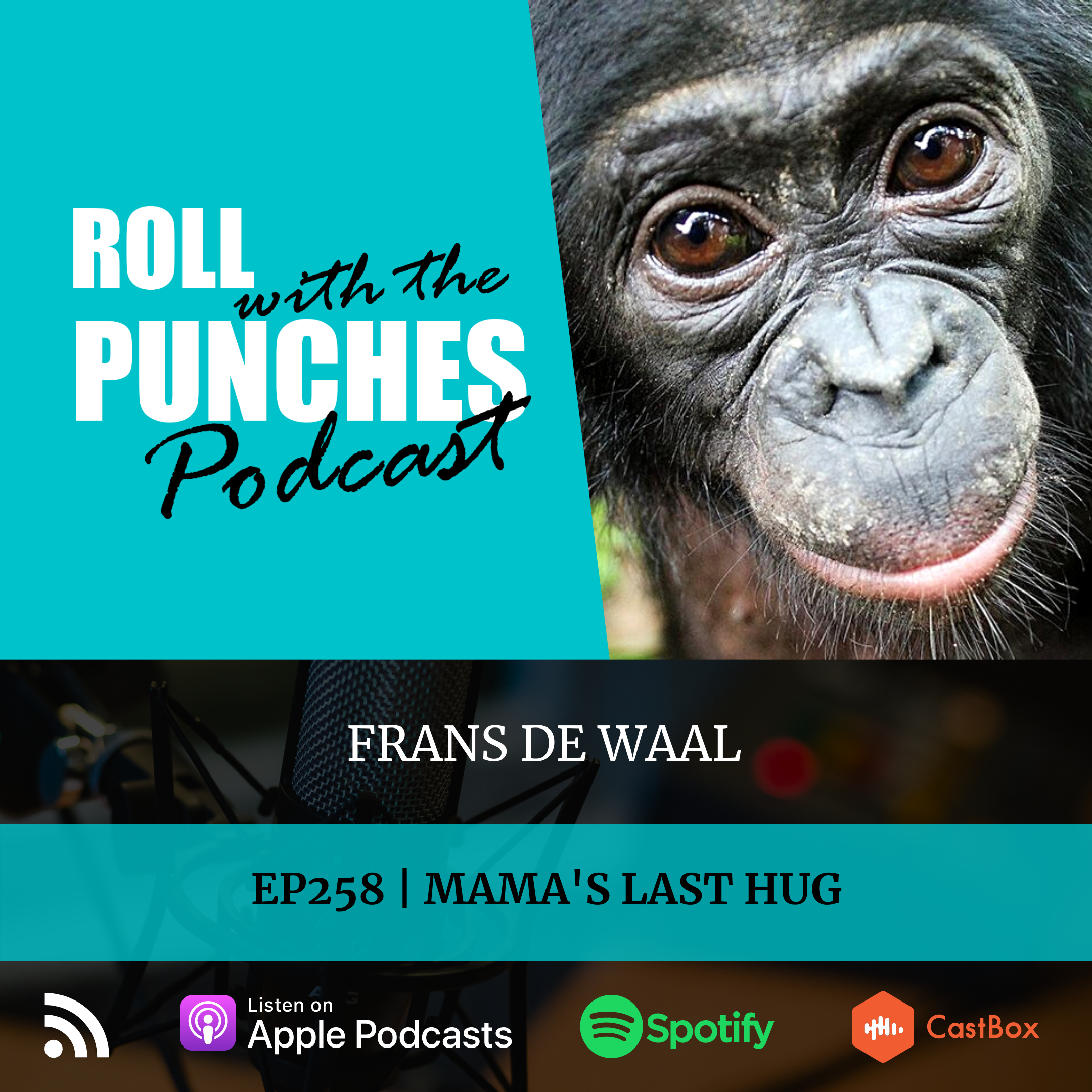 Roll With The Punches