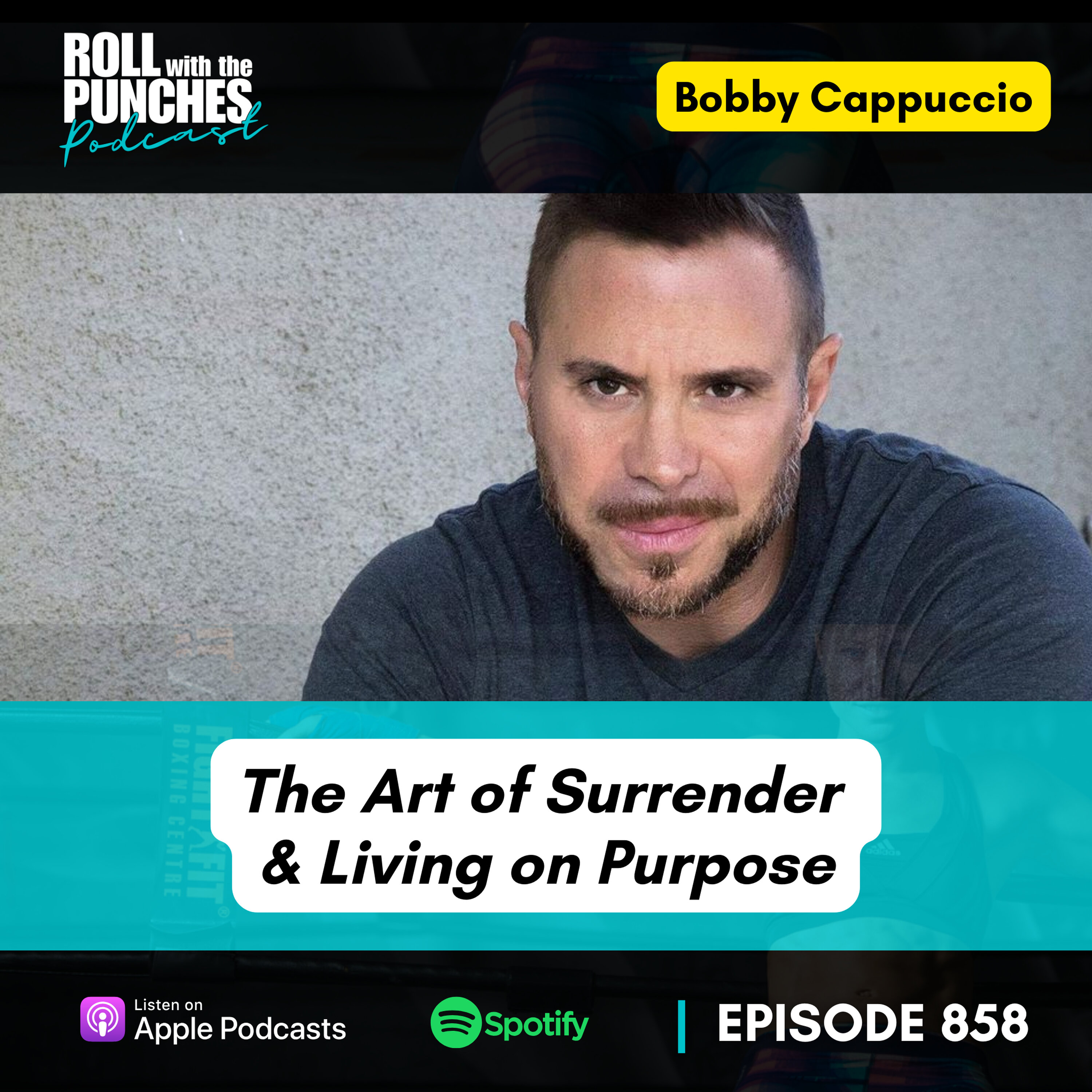Episode cover