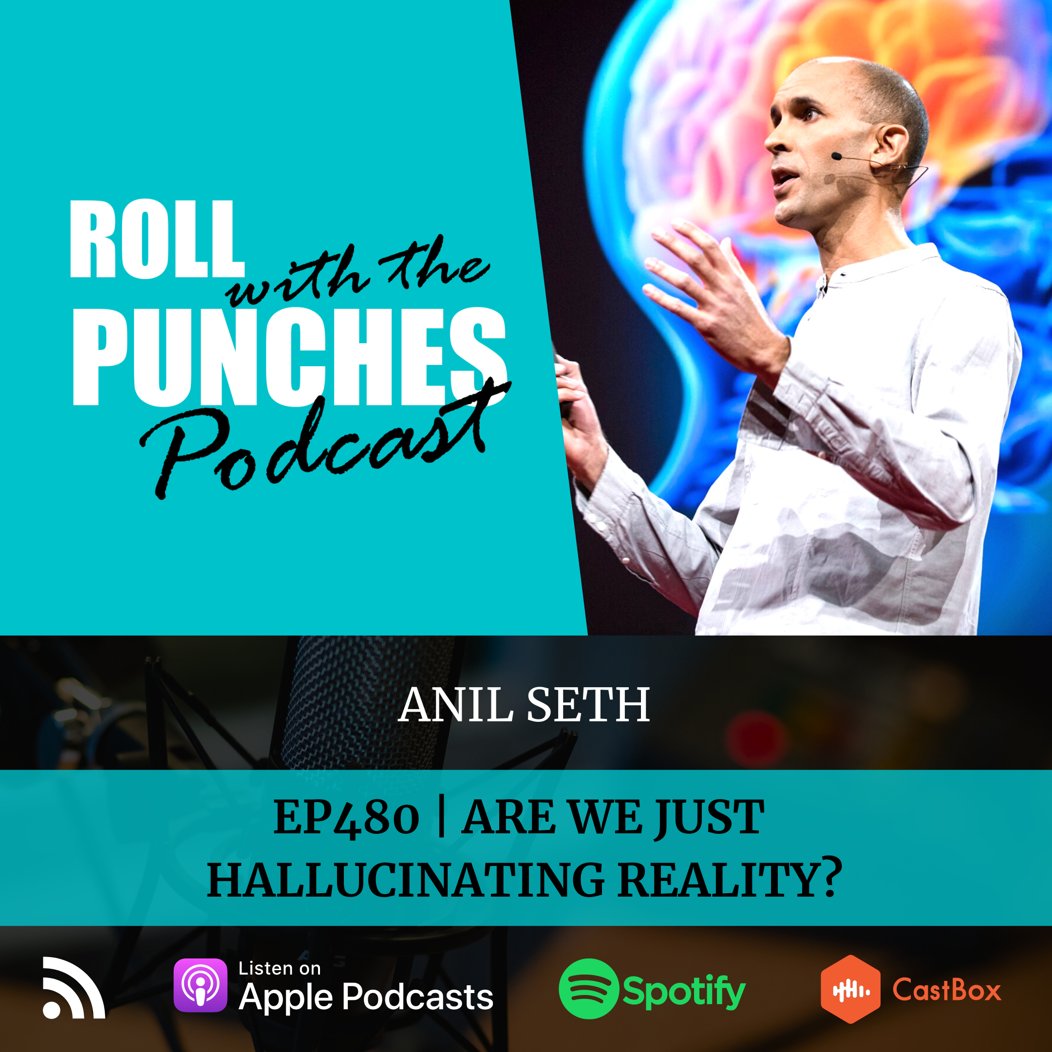 Roll With The Punches