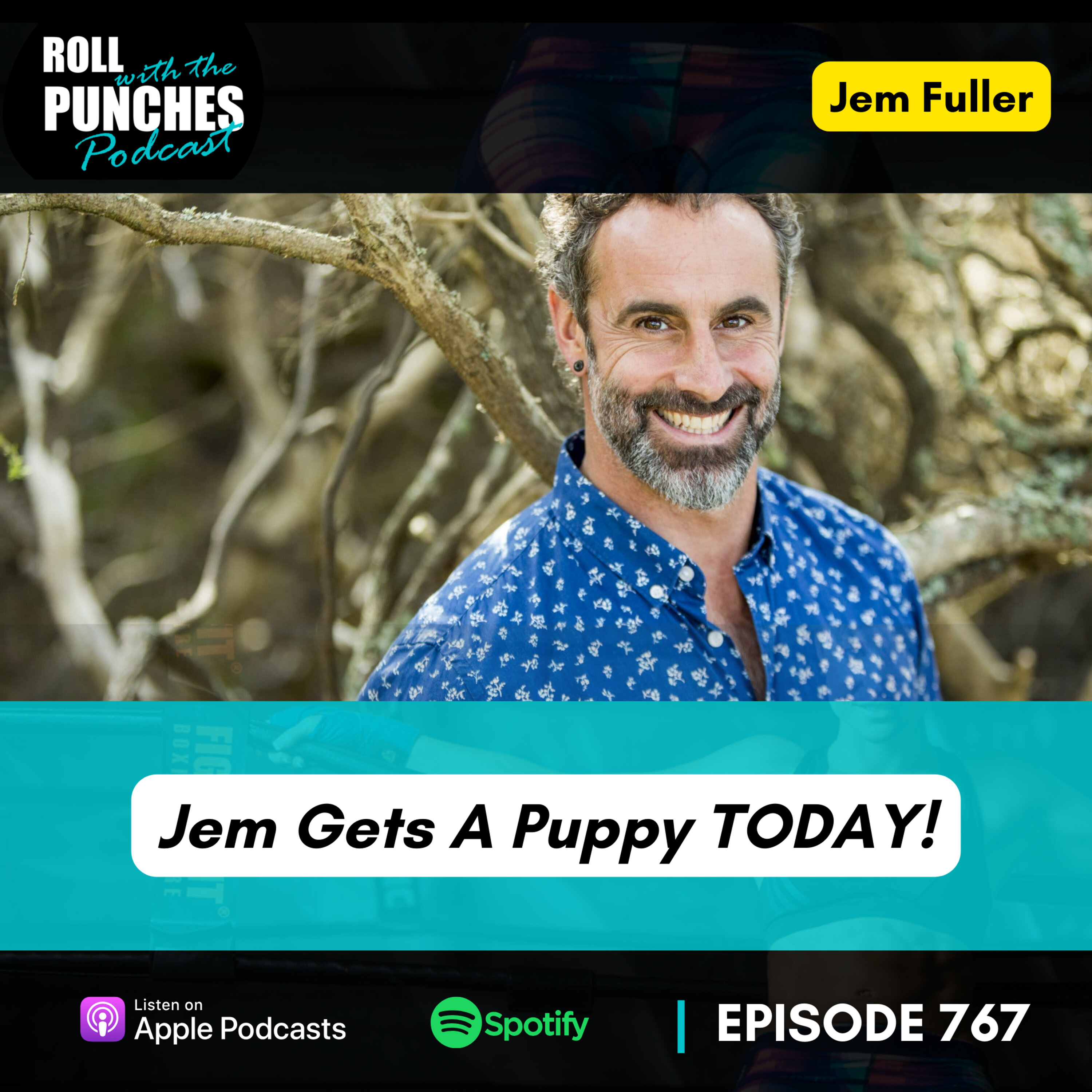 Episode cover
