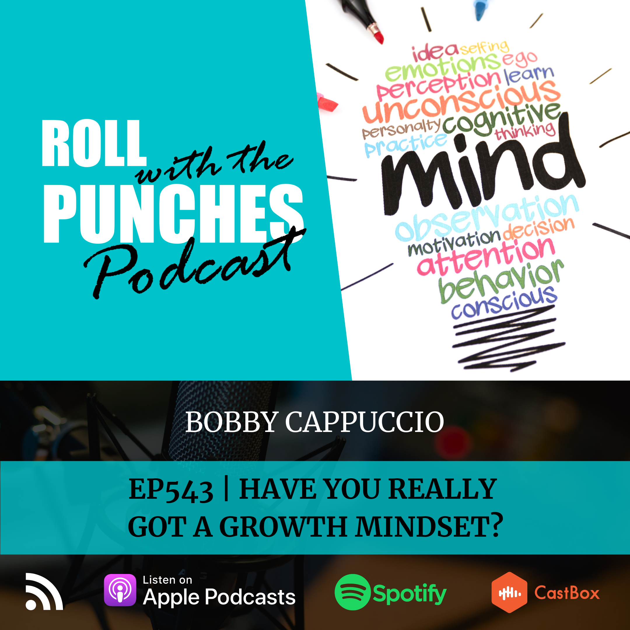 Roll With The Punches