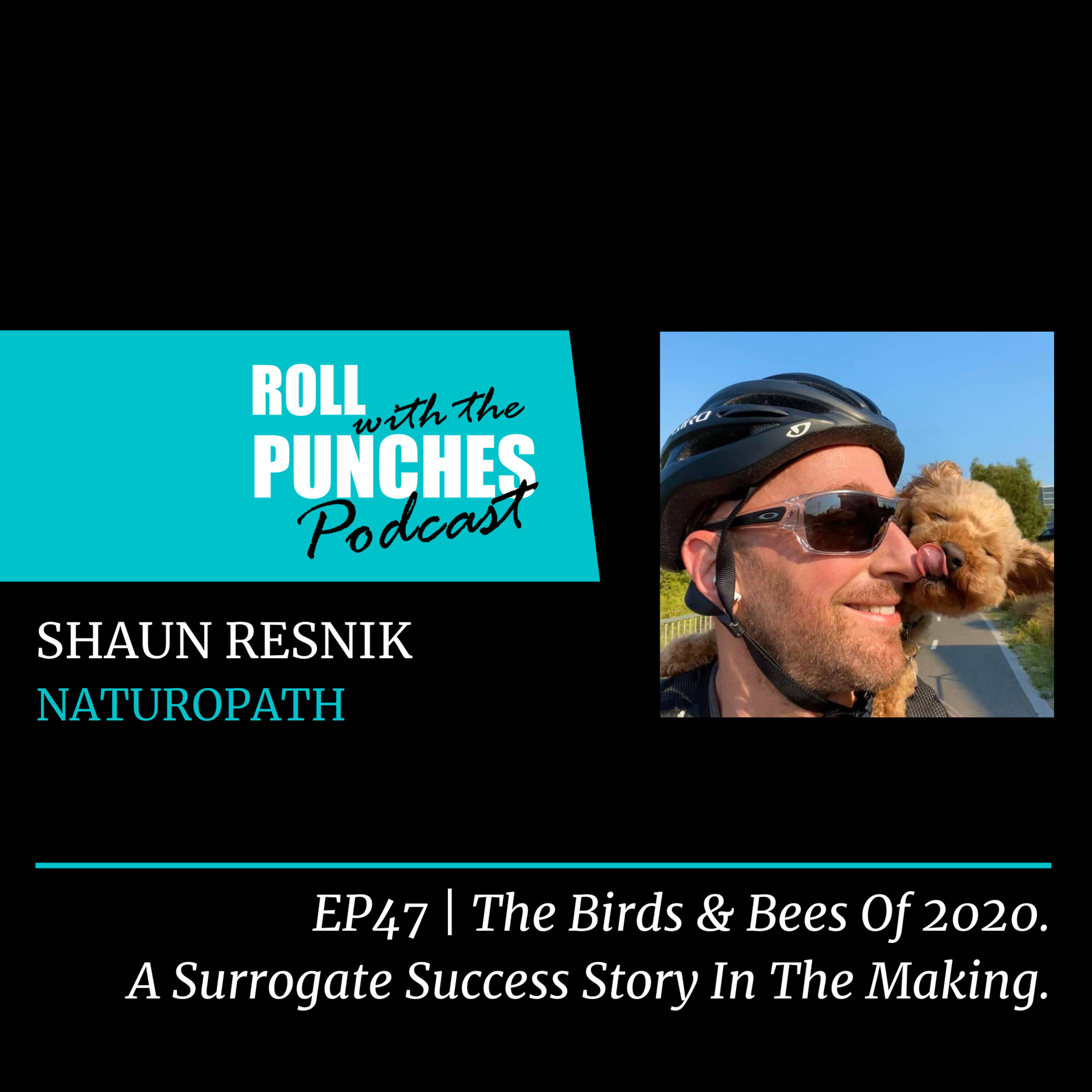 Roll With The Punches