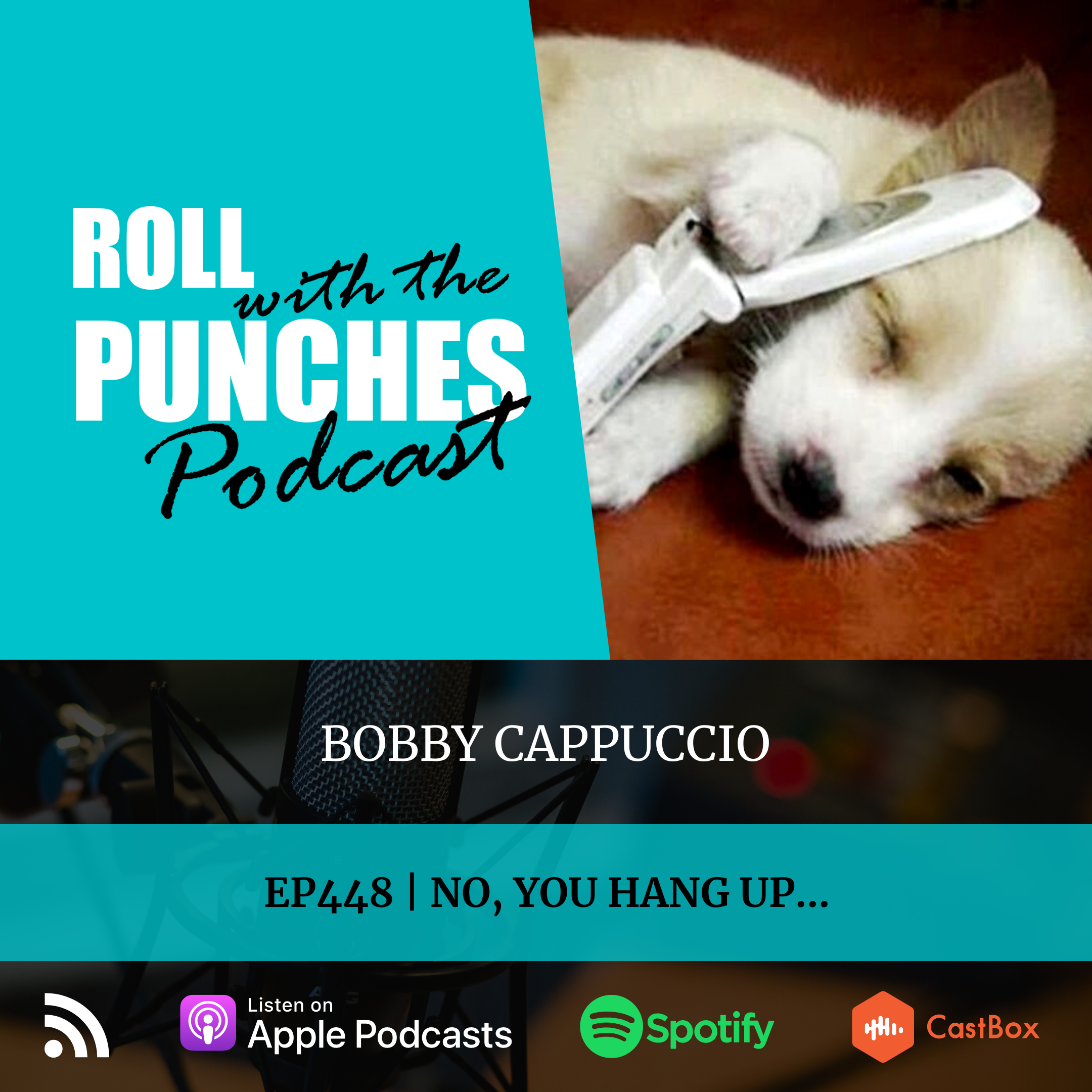 Roll With The Punches