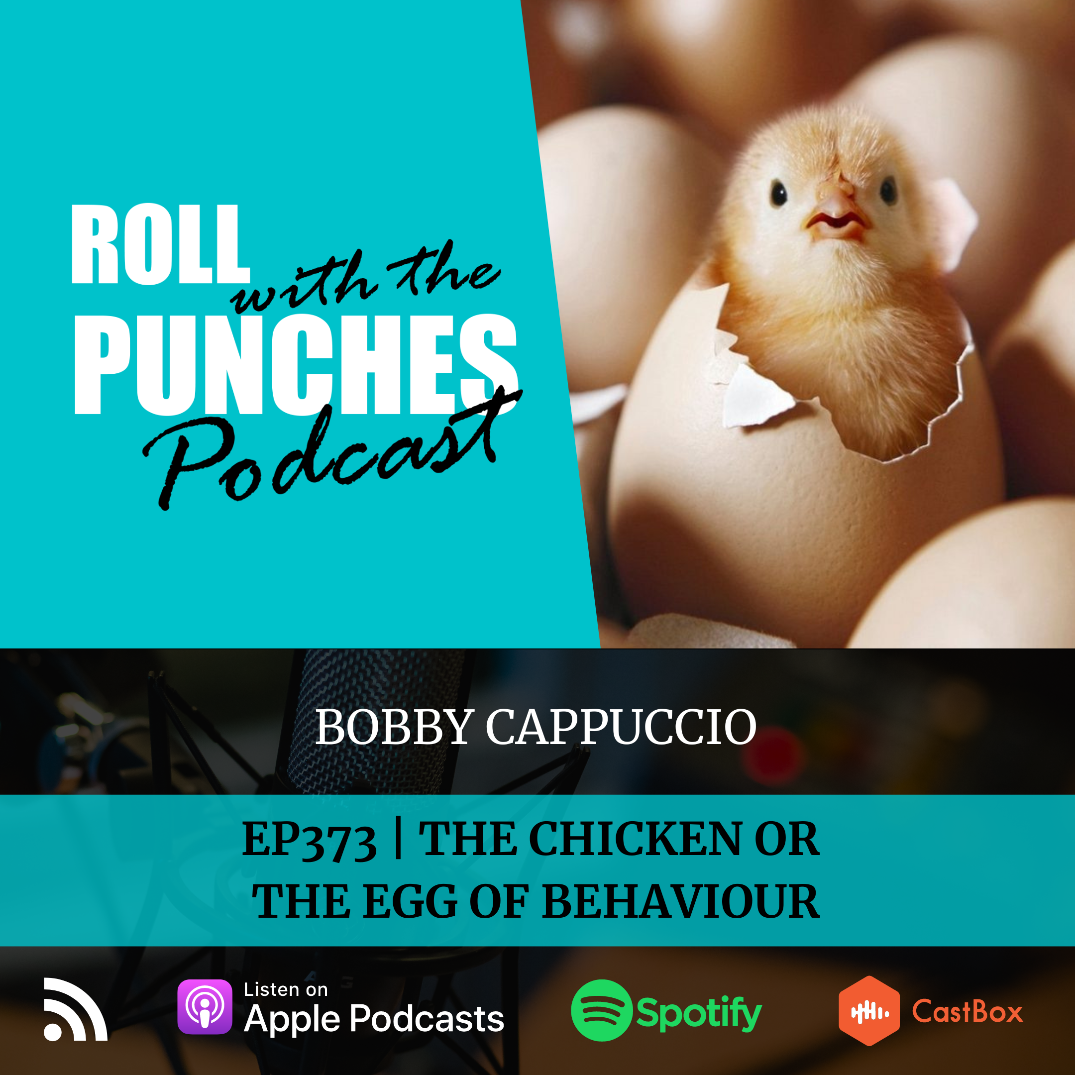 Roll With The Punches