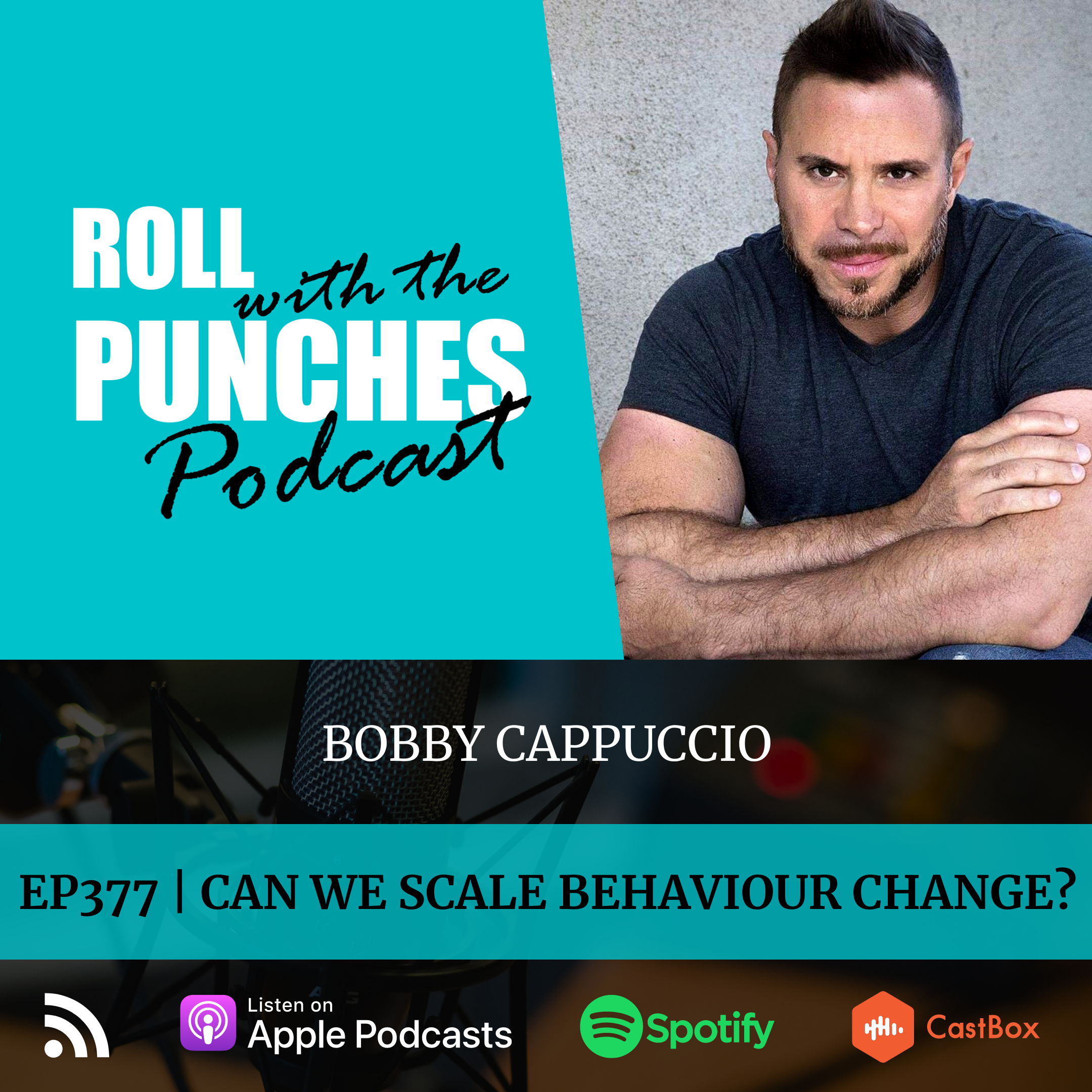 Roll With The Punches