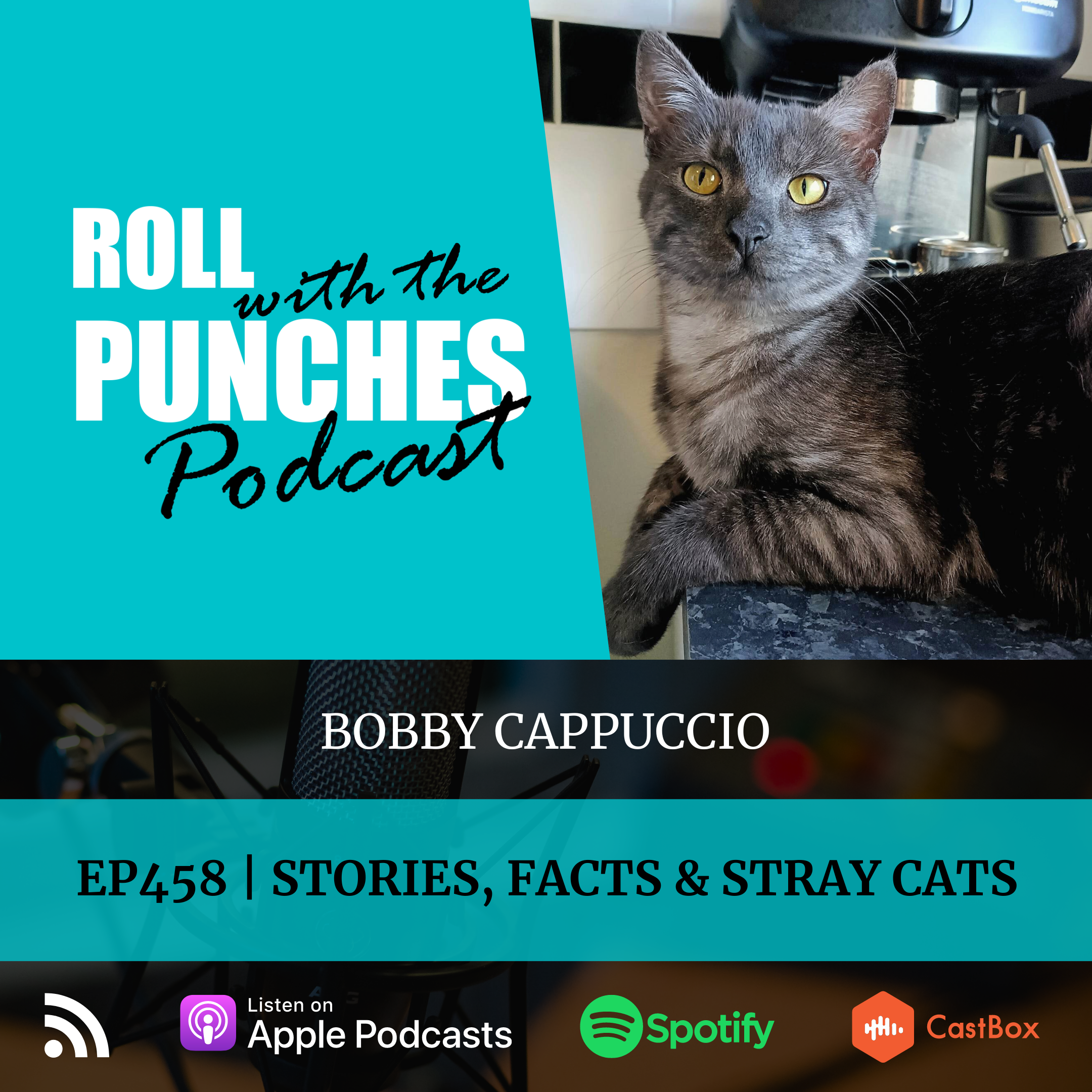 Roll With The Punches