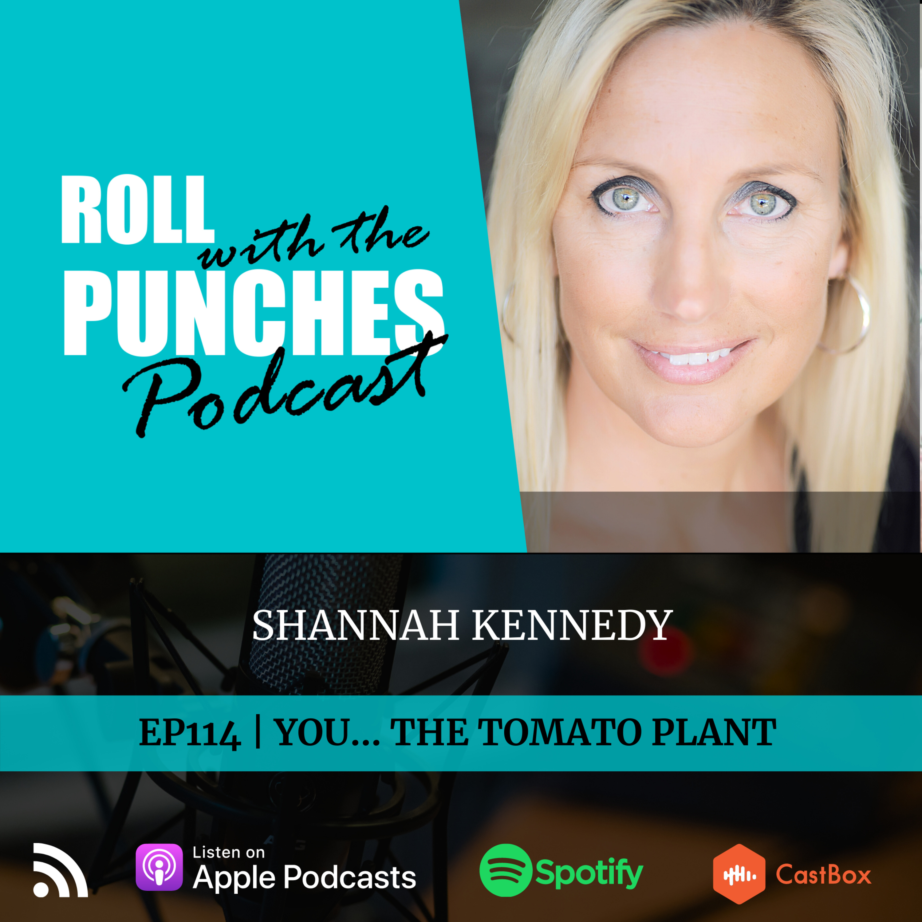 Roll With The Punches