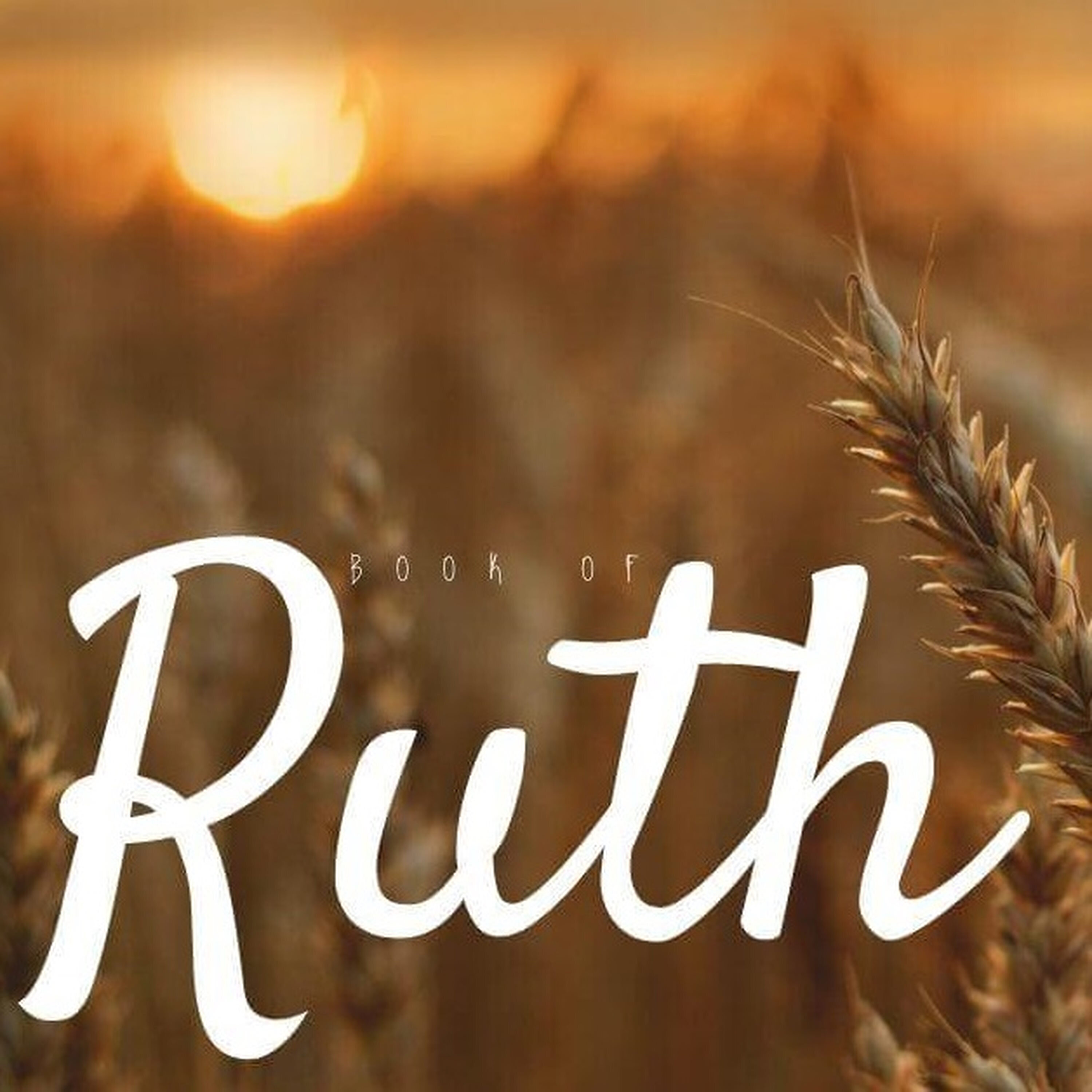 A Virtuous Woman (Ruth 3:6-18) episode artwork